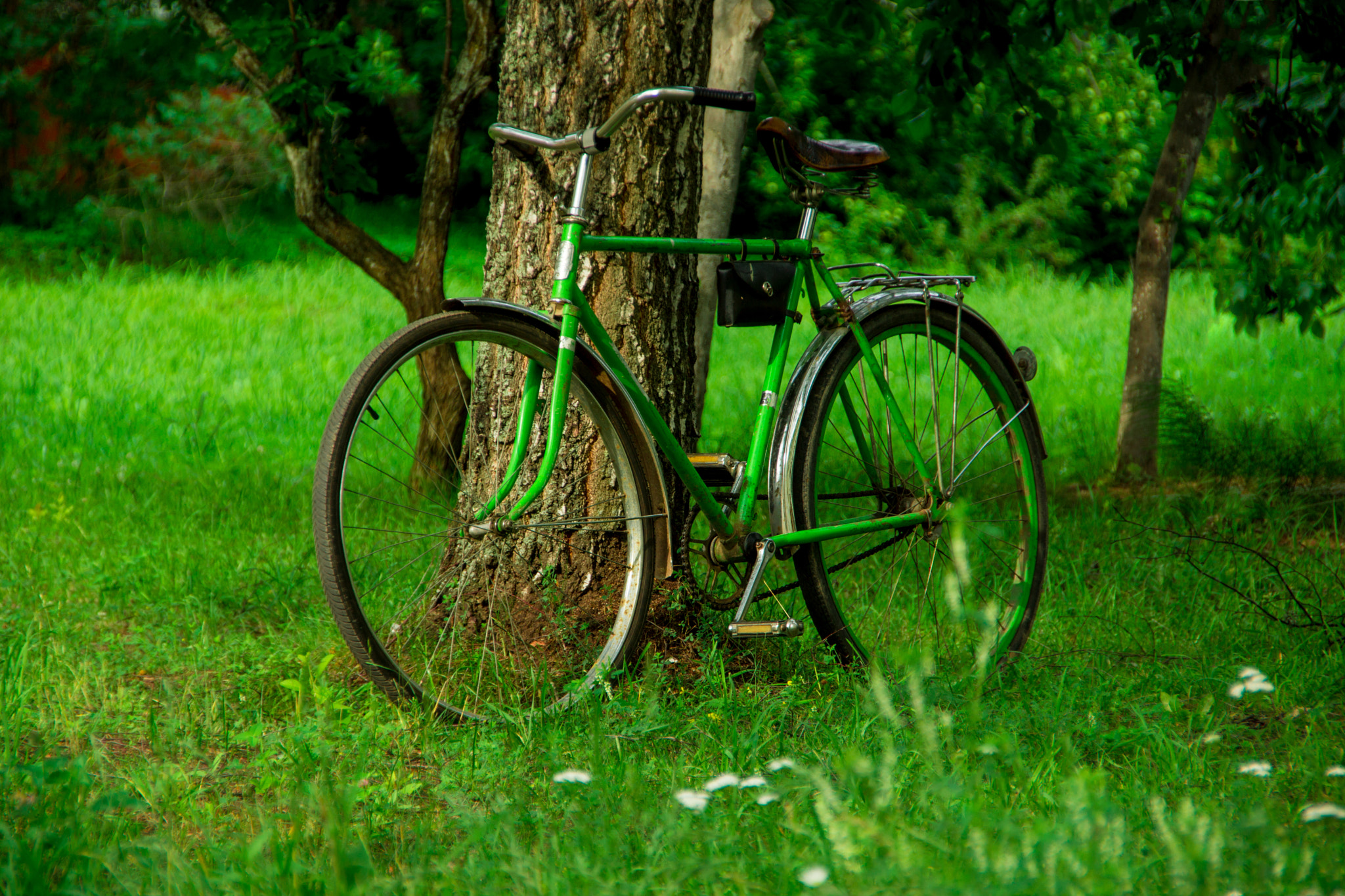 Sony SLT-A65 (SLT-A65V) sample photo. Cycle photography