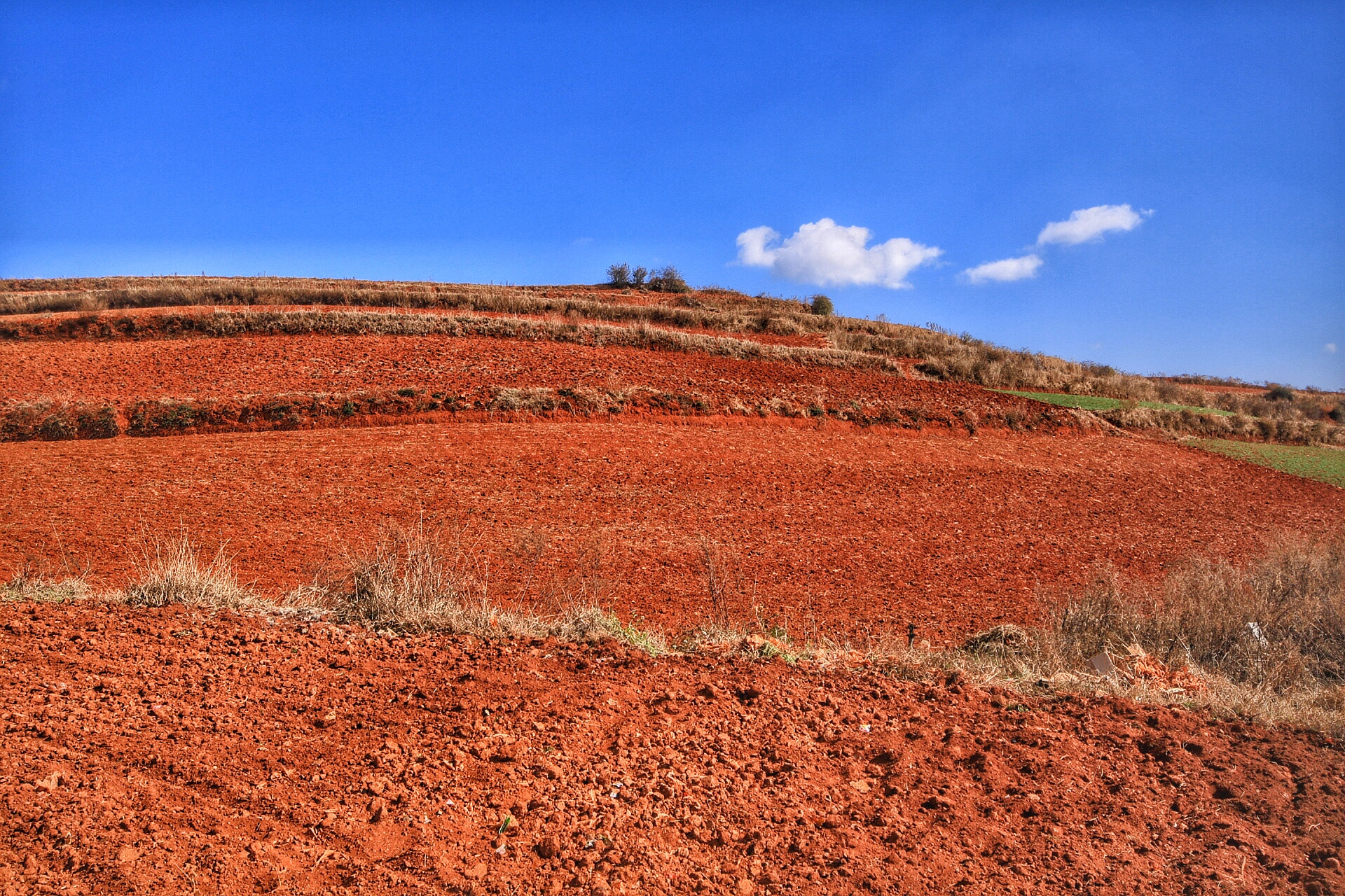 Canon 10-20mm sample photo. Between blue sky and red field photography
