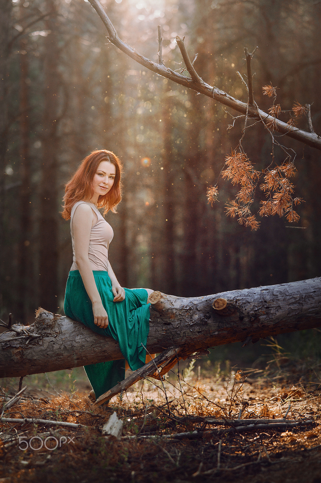 Minolta AF 80-200mm F2.8 HS-APO G sample photo. In the russian forest photography