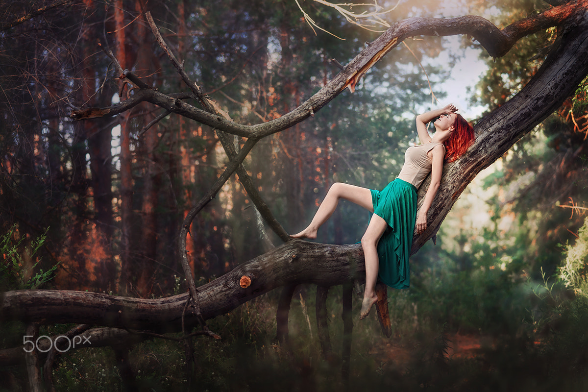 Minolta AF 80-200mm F2.8 HS-APO G sample photo. In the russian forest photography