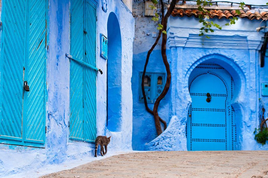 Sigma 24-70mm F2.8 EX DG Macro sample photo. Chaouen photography