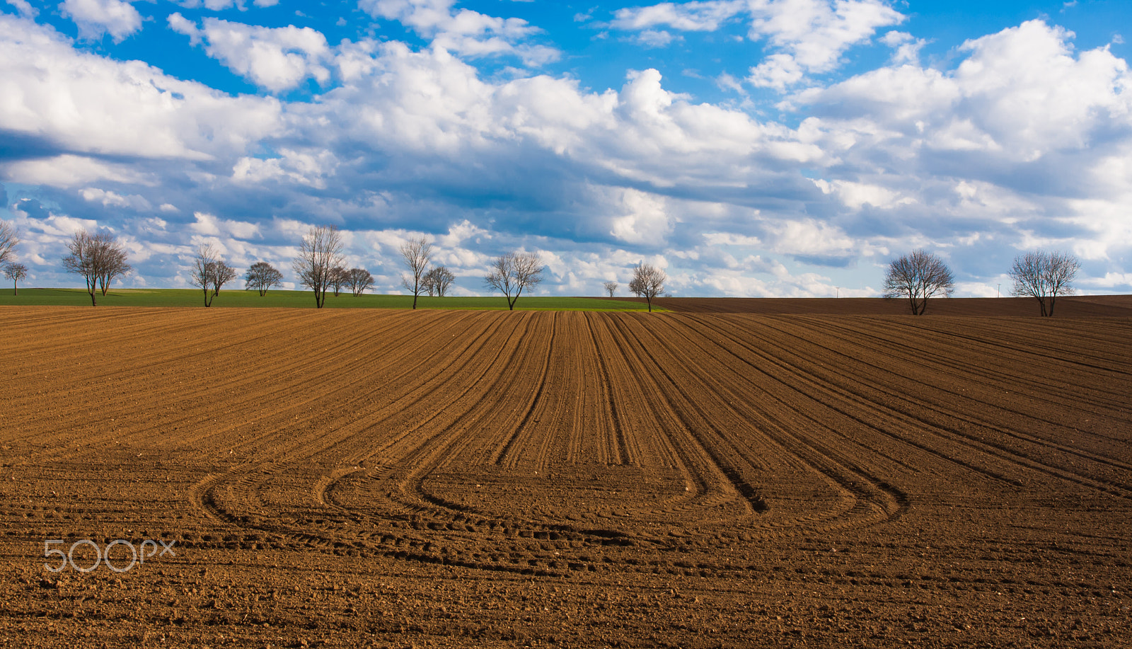 Sigma 17-70mm F2.8-4 DC Macro OS HSM sample photo. Cultivated land photography