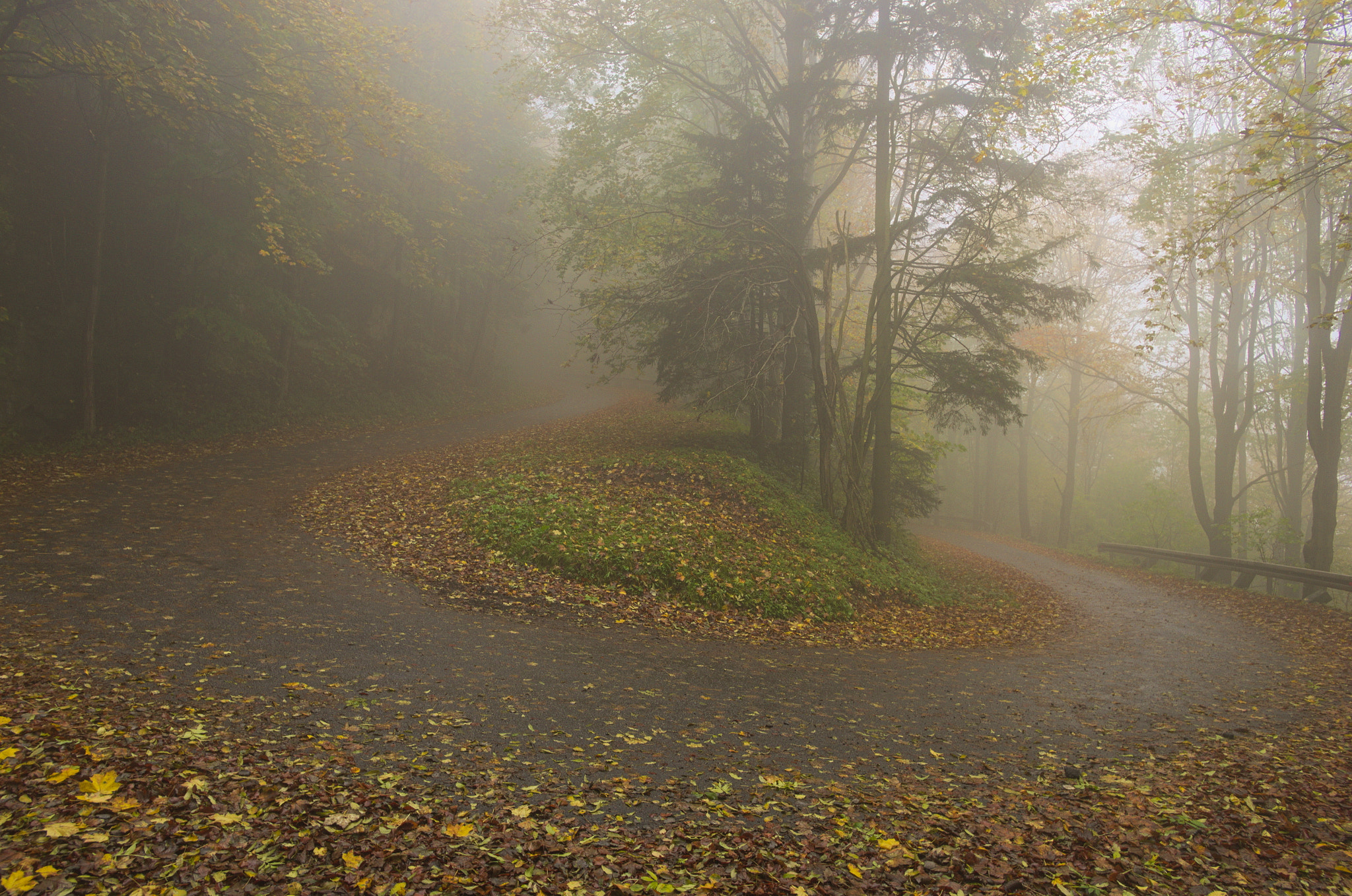 Pentax K-5 sample photo. Autumn curve photography