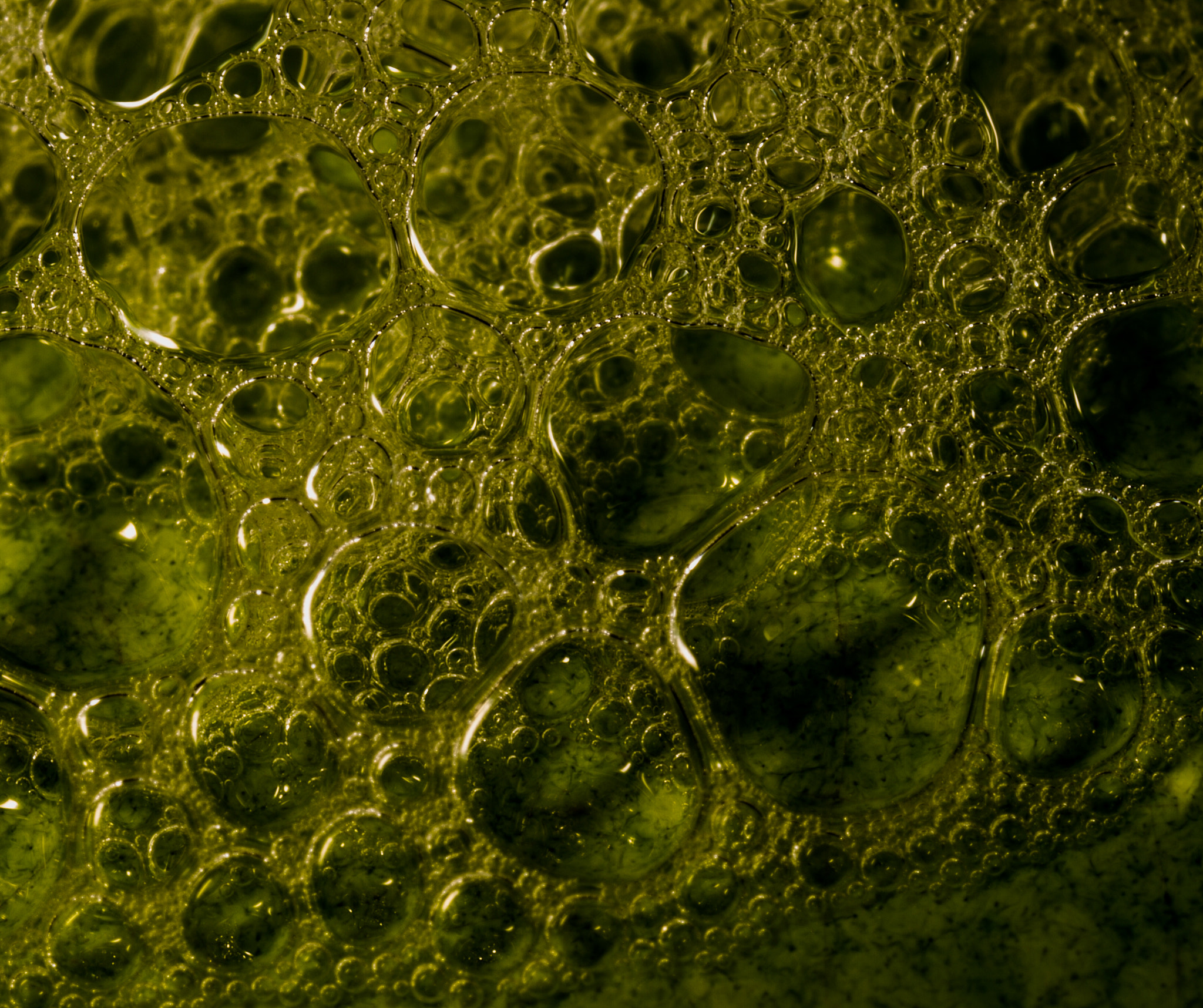 Canon MP-E 65mm F2.5 1-5x Macro Photo sample photo. Soap bubbles photography
