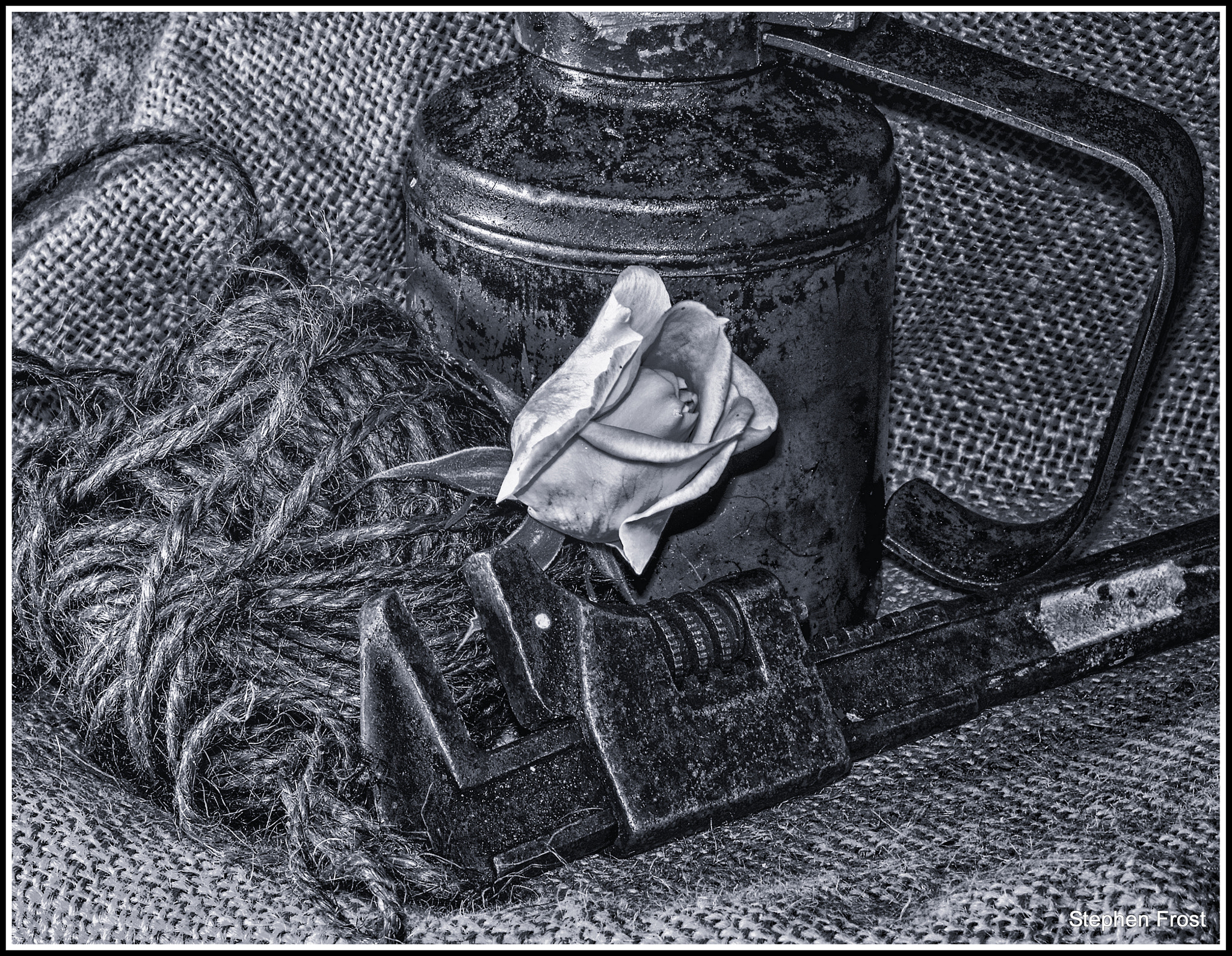 Olympus PEN E-PL5 sample photo. Tools coming up roses photography