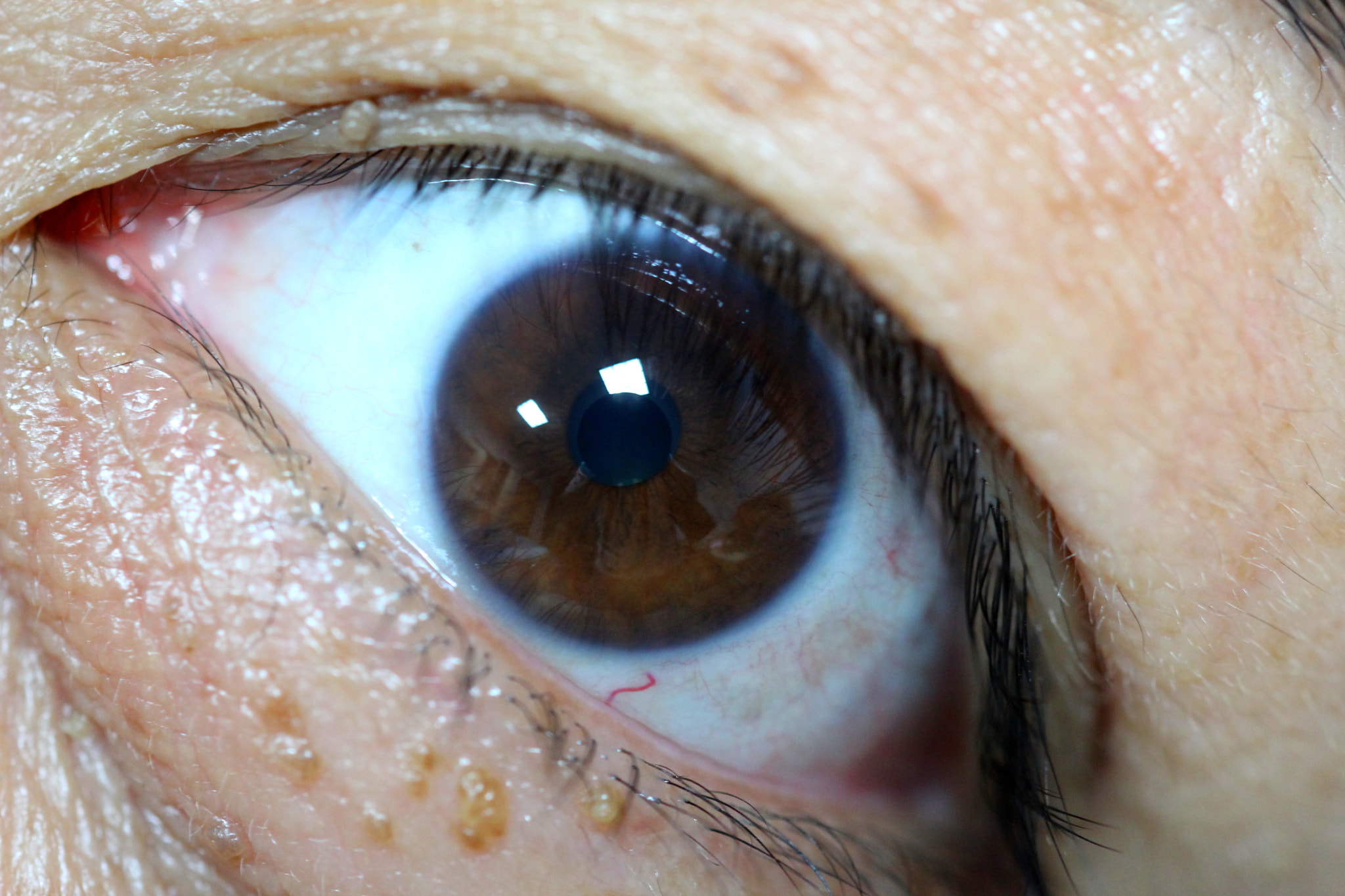 Sigma 150mm f/2.8 EX DG OS HSM APO Macro sample photo. Eye and time photography