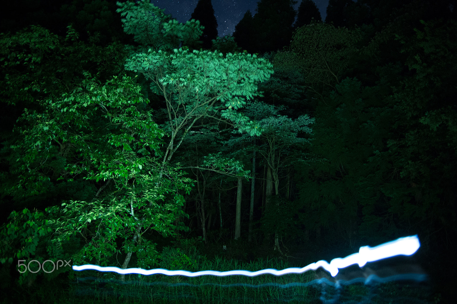 Nikon Df sample photo. Mysterious light photography