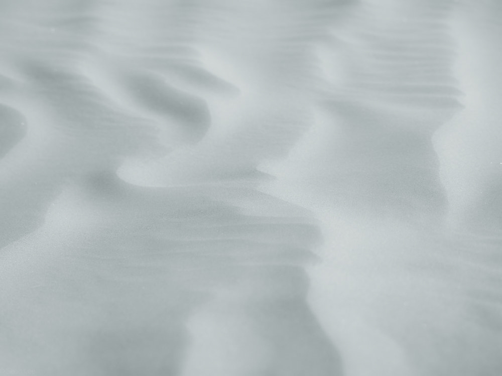 Olympus OM-D E-M10 sample photo. Spirit in the wind photography