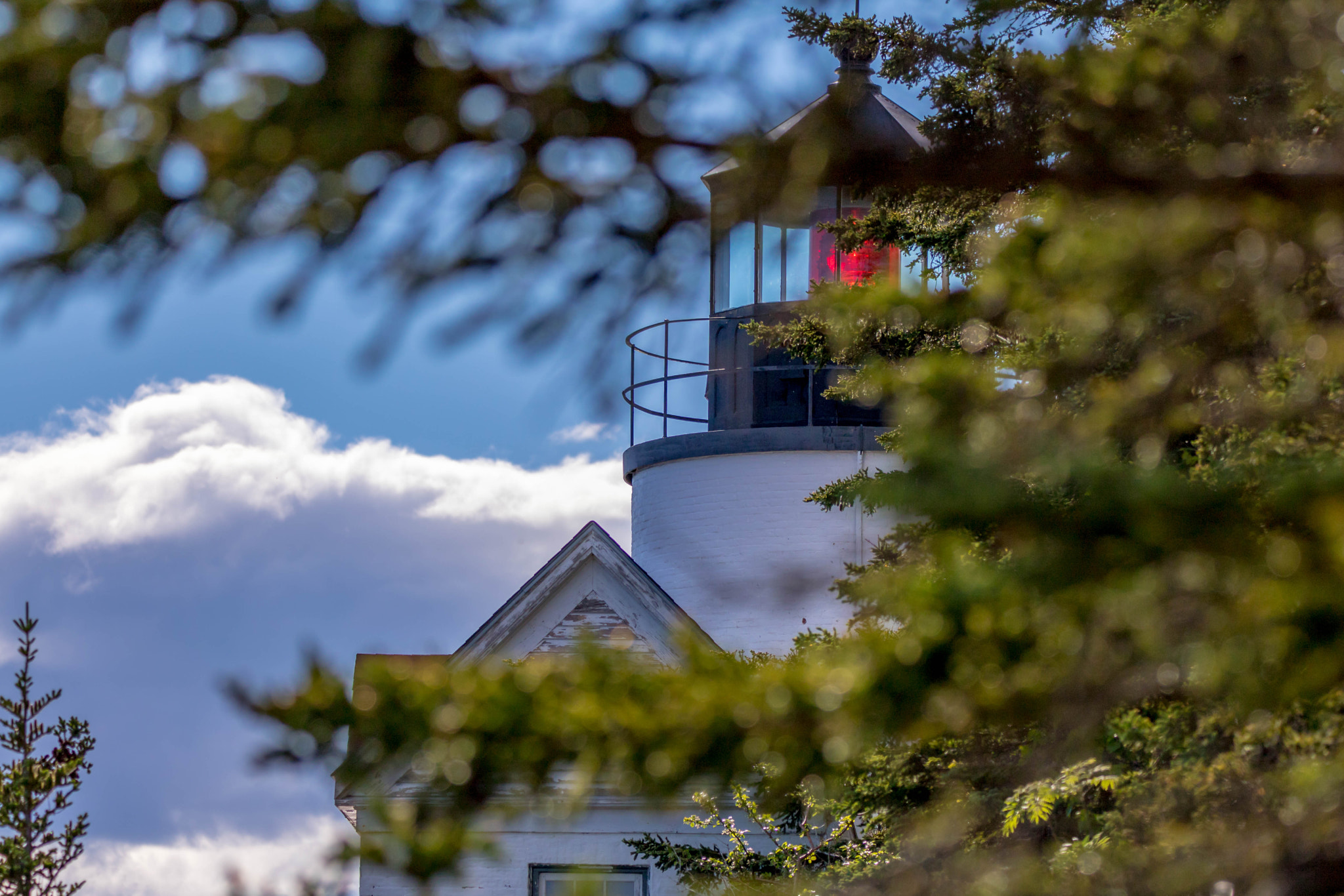 150-600mm F5-6.3 DG OS HSM | Contemporary 015 sample photo. Bass harbor light through the trees photography