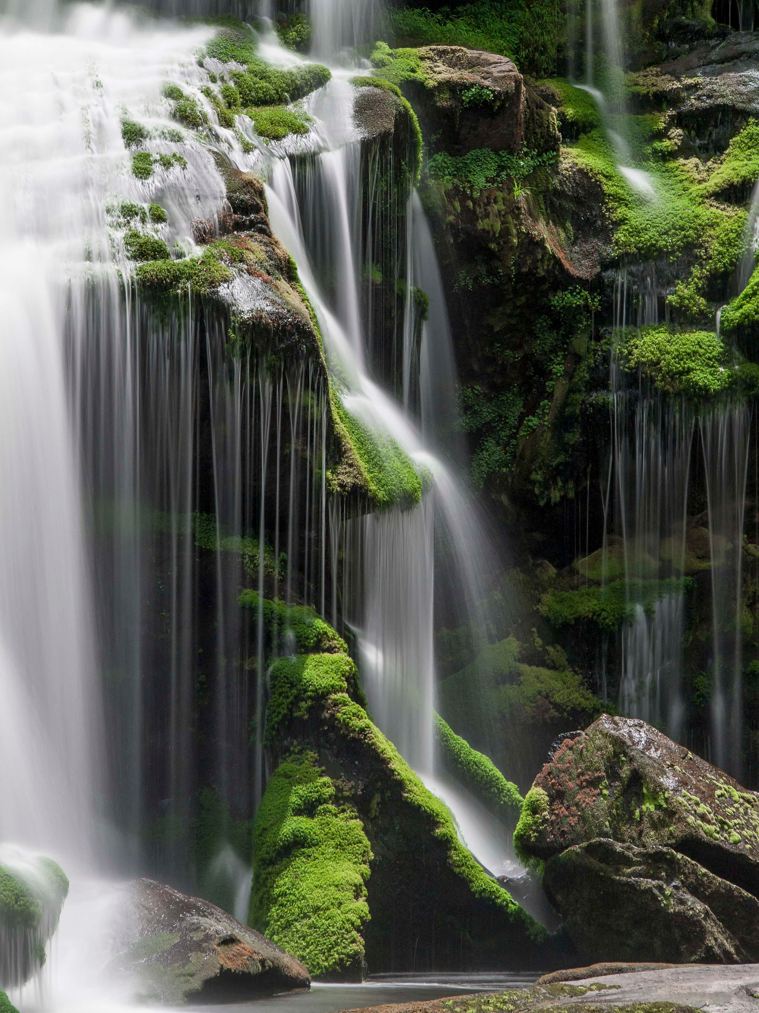 Olympus PEN E-P1 sample photo. Bald river falls. tellico plains, tn. photography