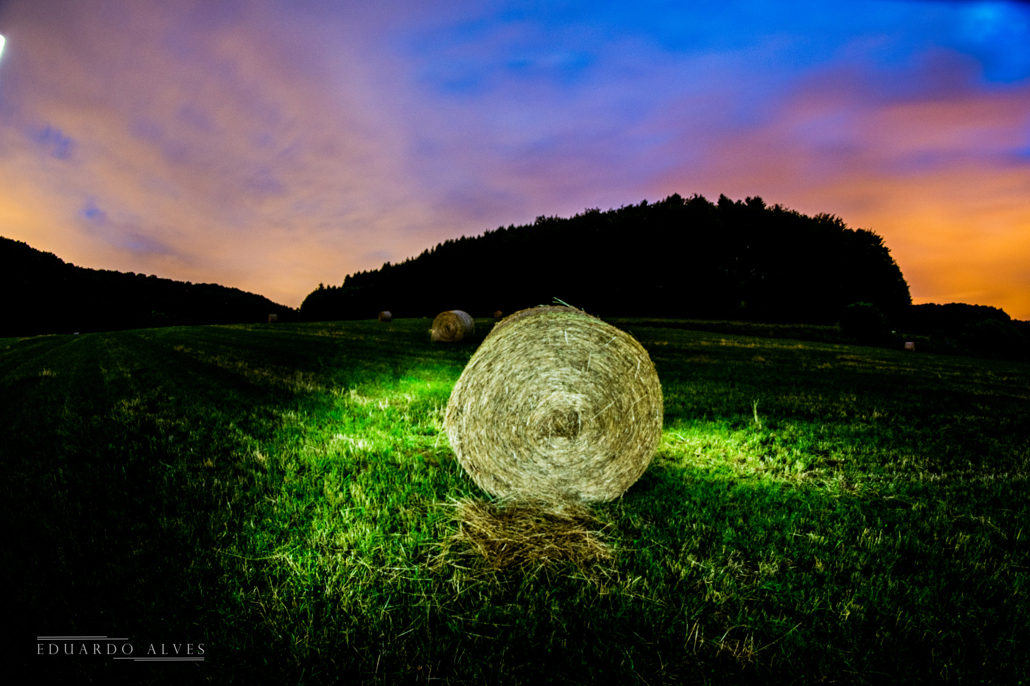 Nikon D3300 + Samyang 8mm F3.5 Aspherical IF MC Fisheye sample photo. Gold medal photography