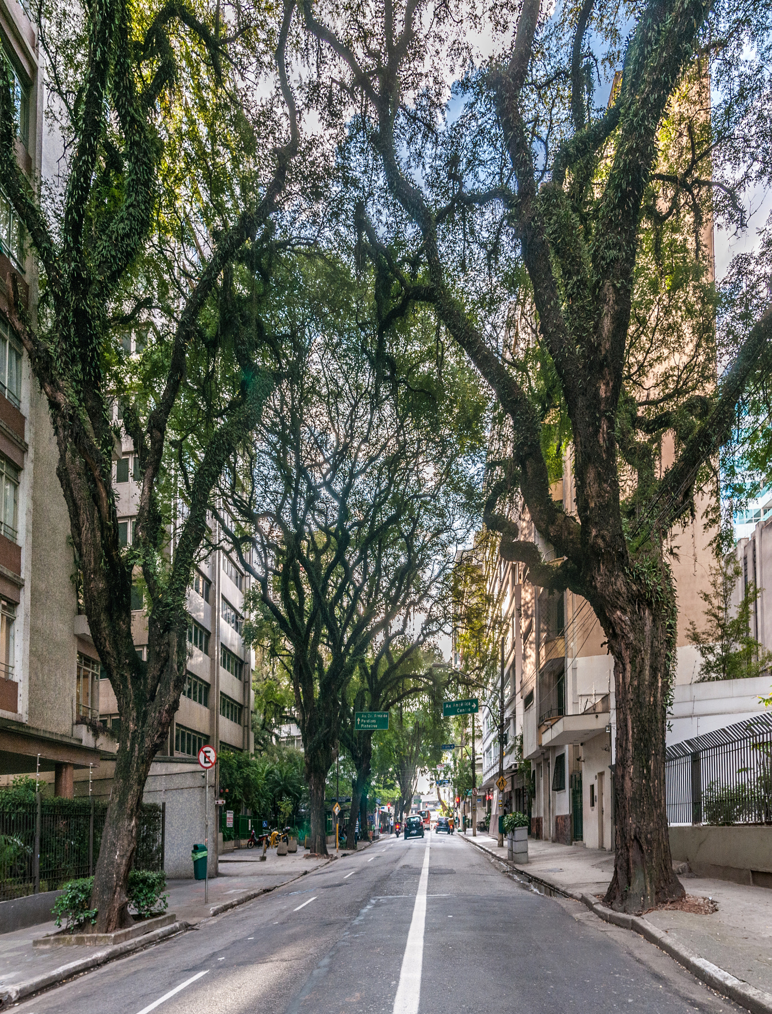 Nikon D300 + Sigma 18-50mm F2.8 EX DC Macro sample photo. Street close to paulista avenue são paulo brazil photography