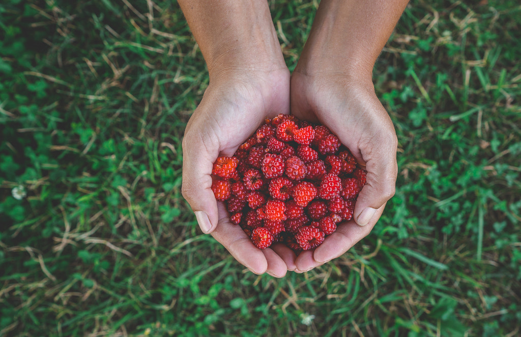 Hand Picked by Ash Simmons on 500px.com