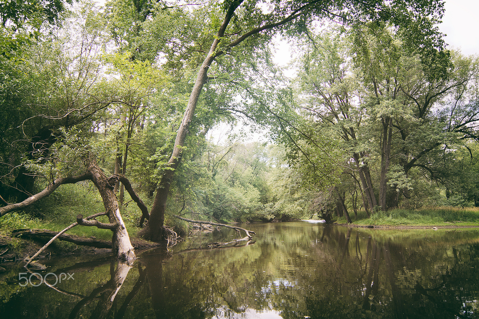 Sony SLT-A58 + 20mm F2.8 sample photo. Fork in the river photography