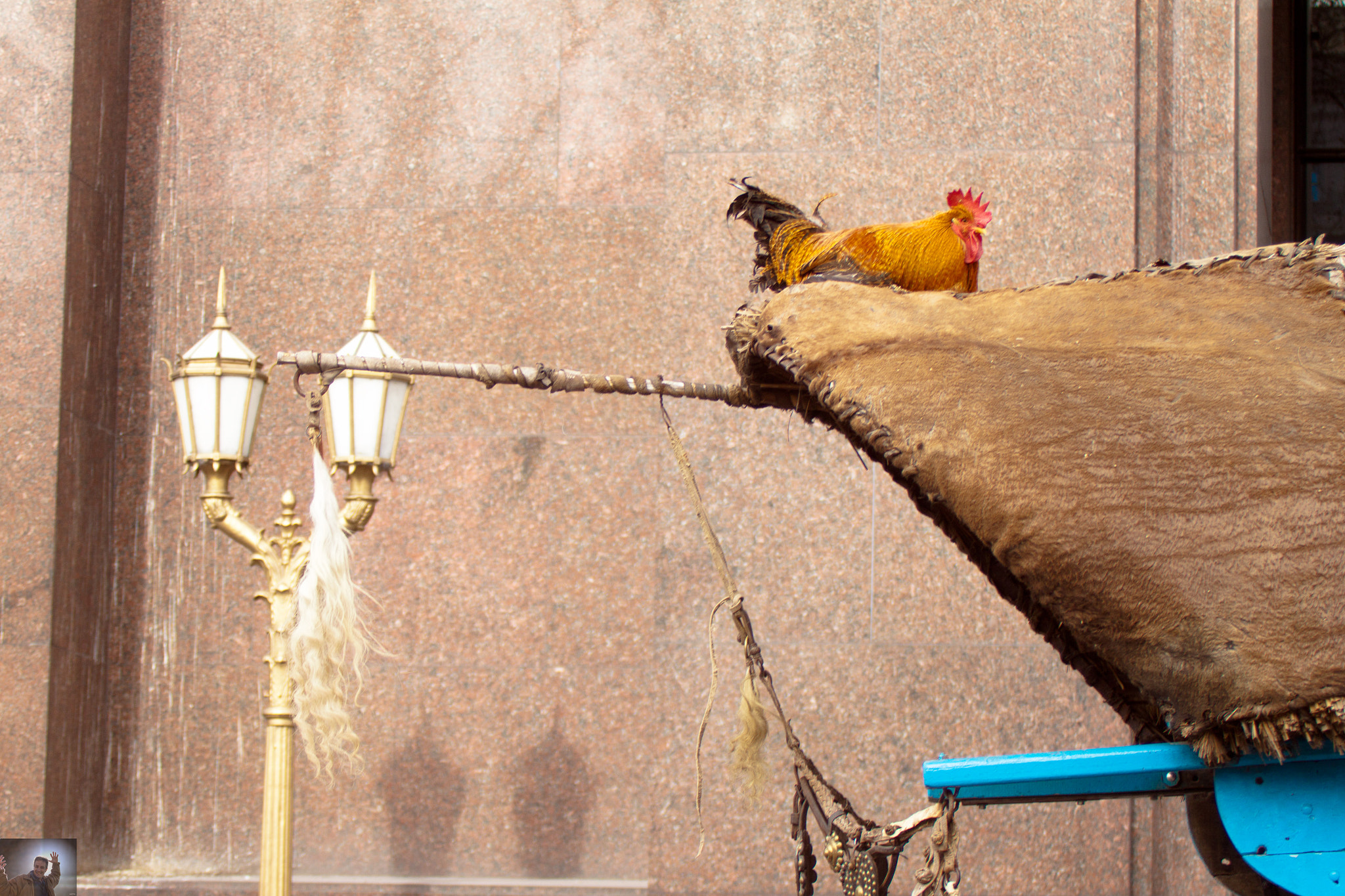 Canon EF 28-80mm f/3.5-5.6 sample photo. Buenos aires photography