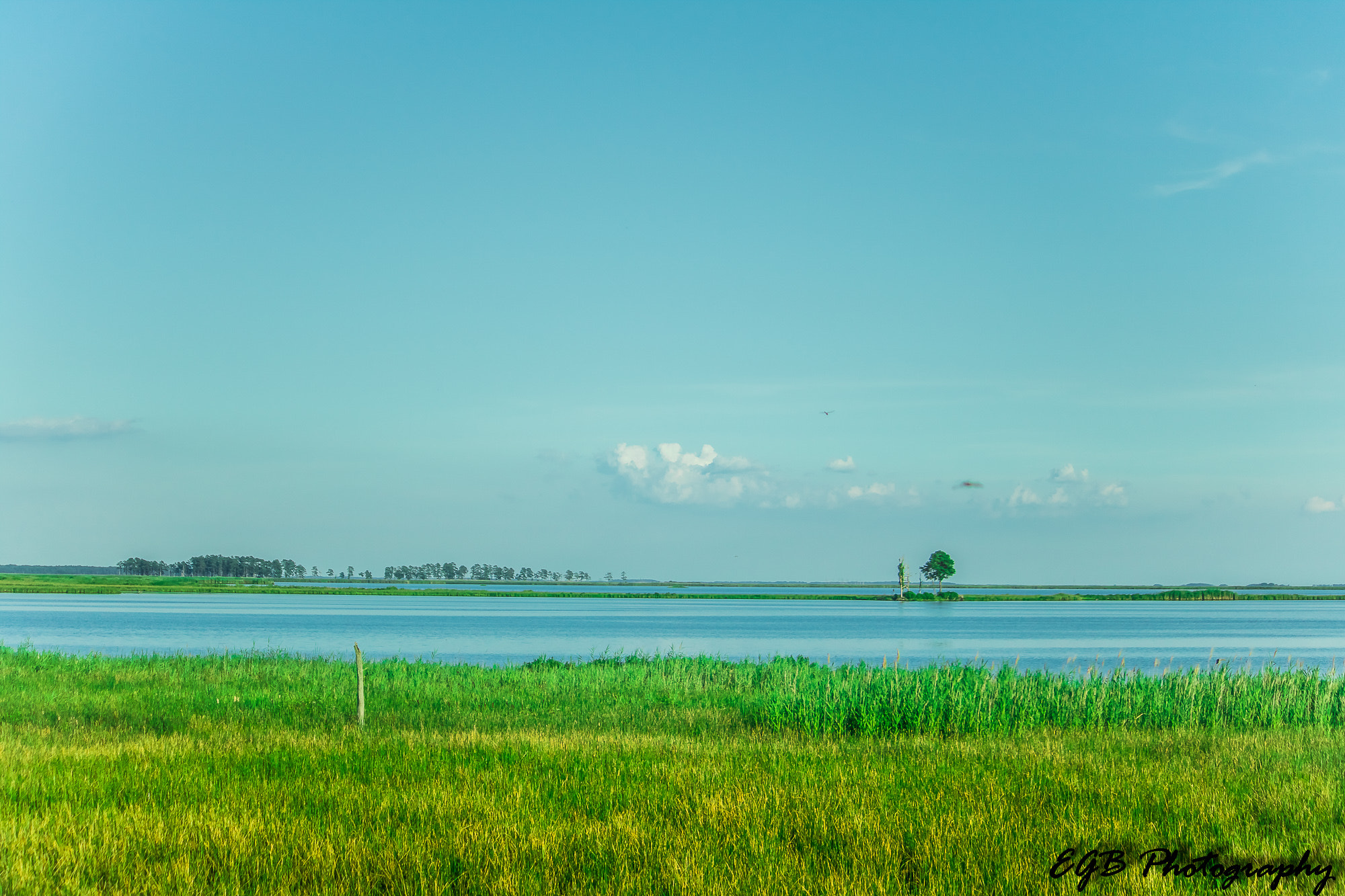 Canon EF-S 55-250mm F4-5.6 IS sample photo. Open space photography