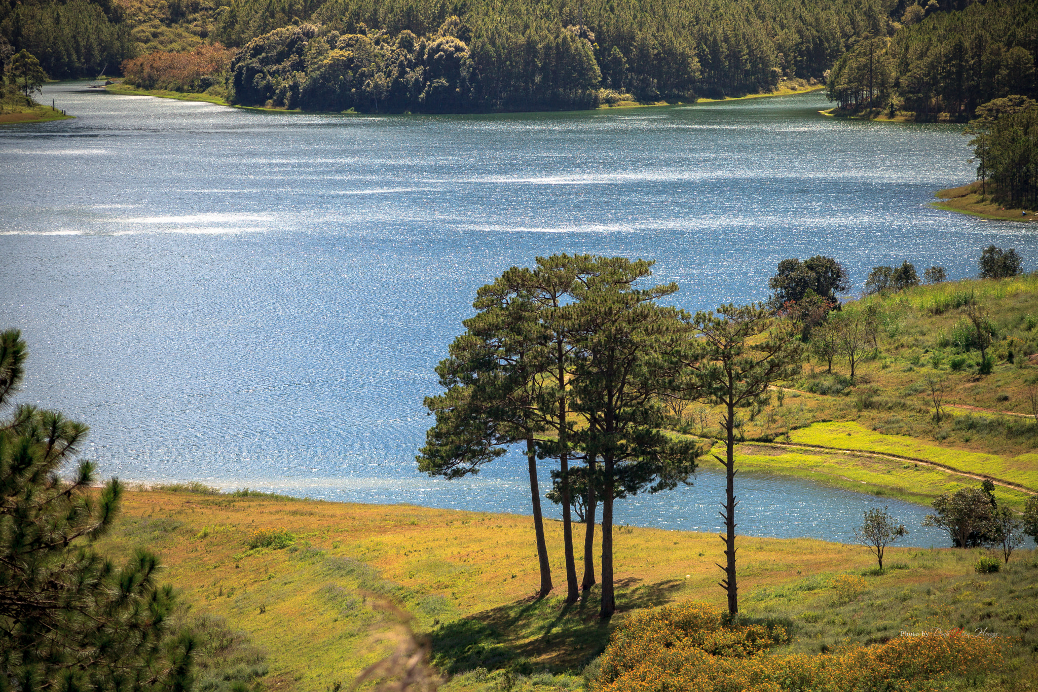 Canon EF 70-210mm f/4 sample photo. Tuyen lam lake photography