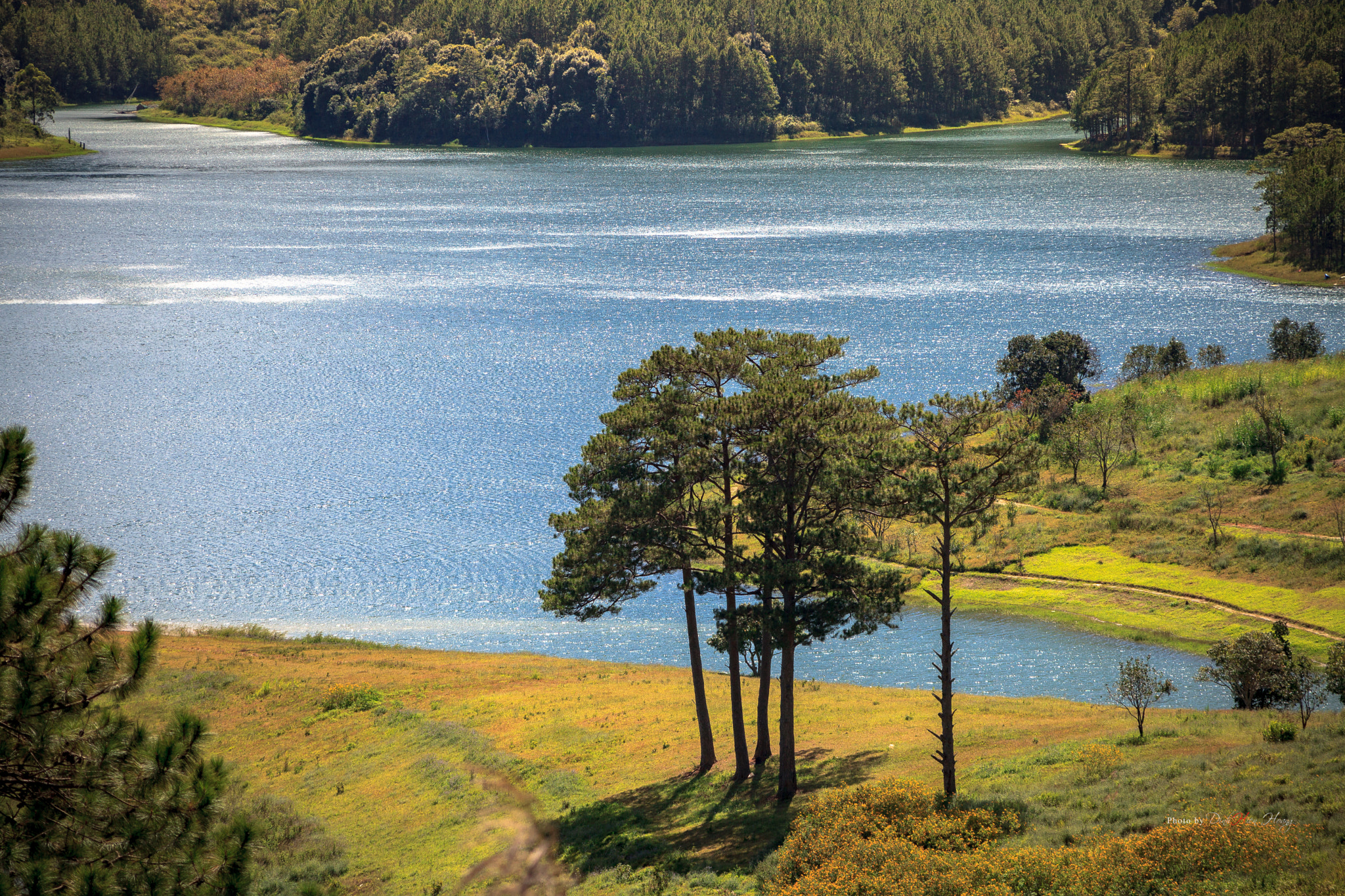 Canon EOS 5D Mark II + Canon EF 70-210mm f/4 sample photo. Tuyen lam lake photography