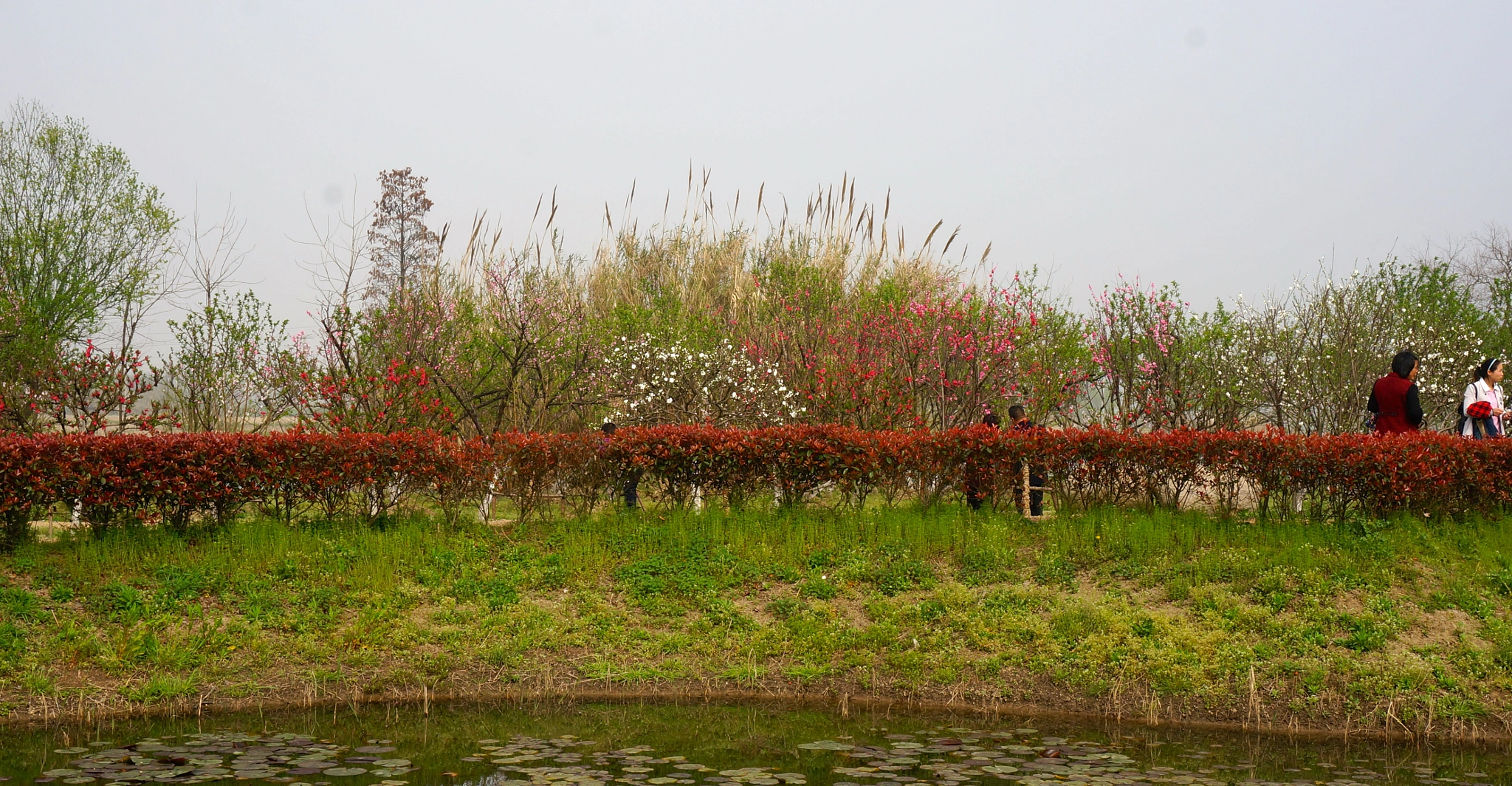 Sony E 16-50mm F3.5-5.6 PZ OSS sample photo. Spring outing photography