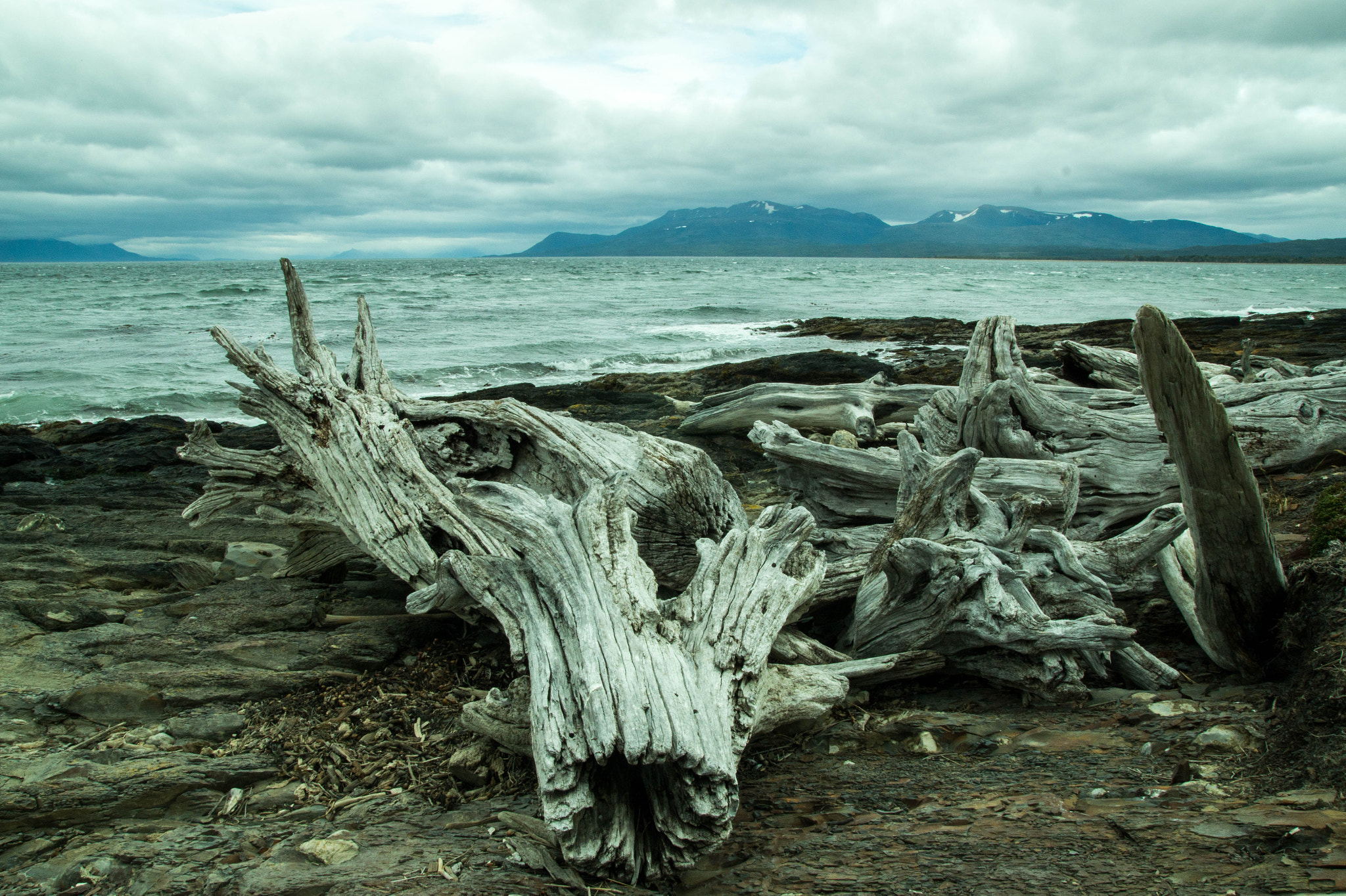 Sony SLT-A58 sample photo. Fuerte bulnes photography