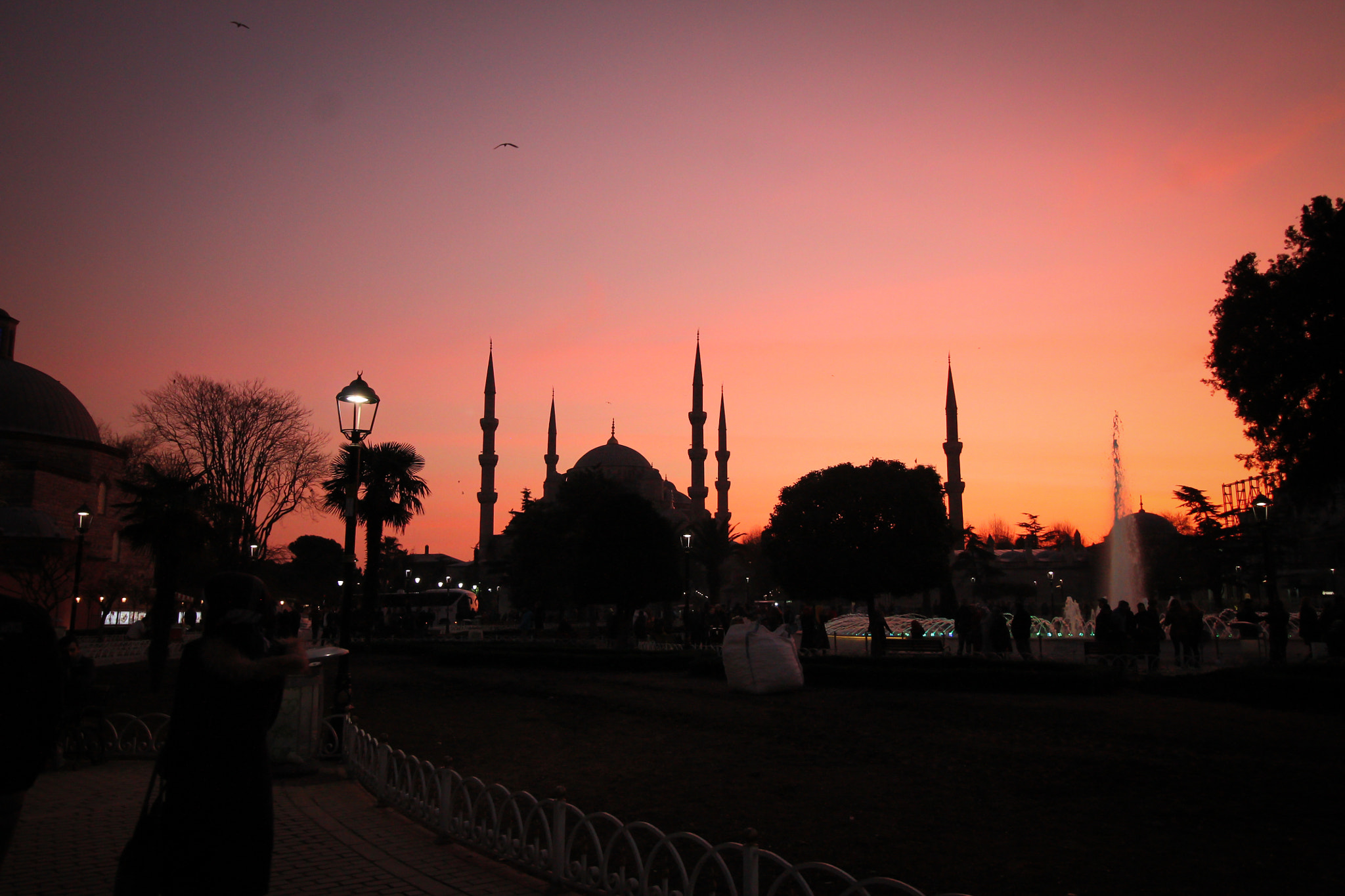 Canon EOS 1100D (EOS Rebel T3 / EOS Kiss X50) sample photo. Blue mosque, istanbul photography