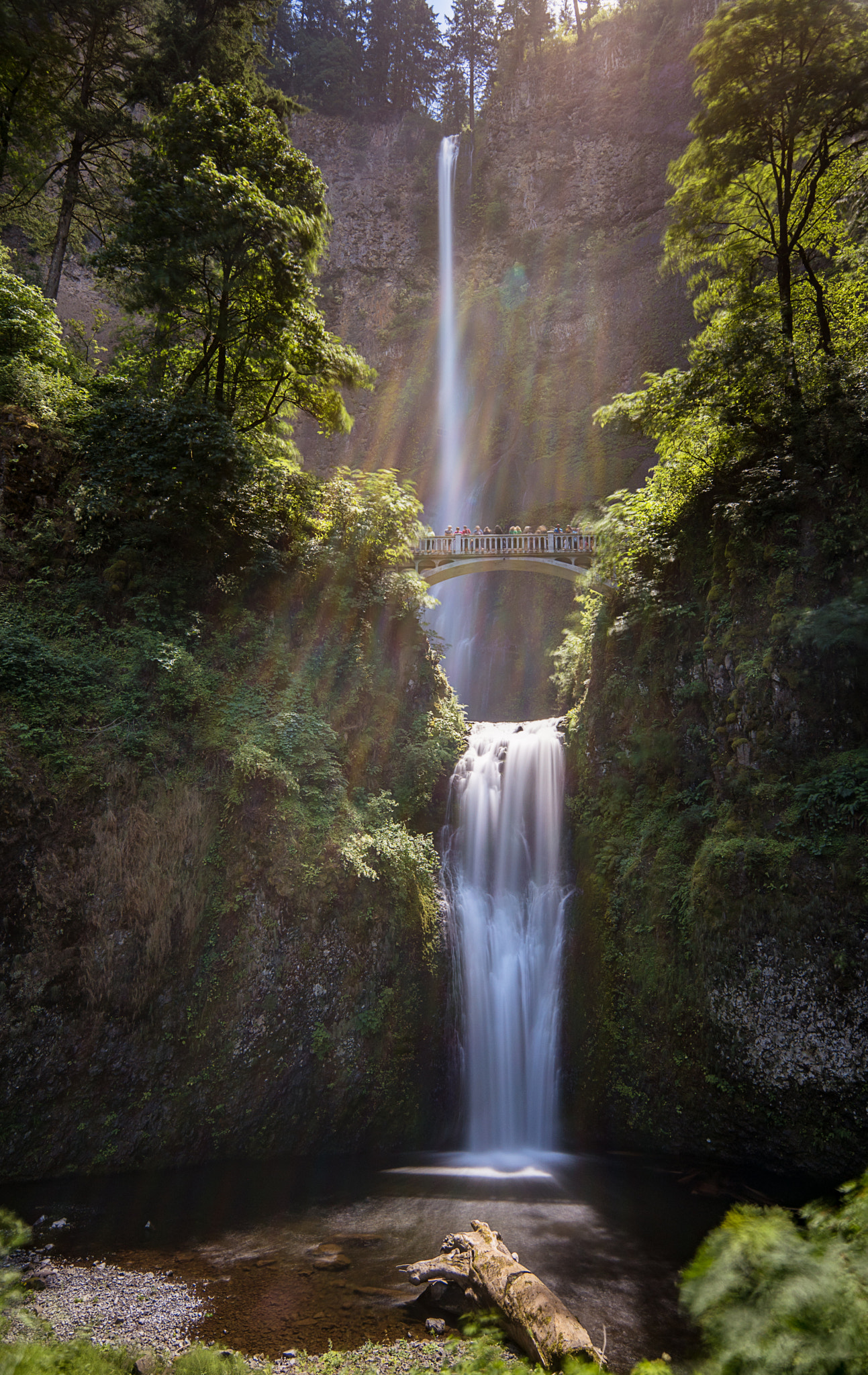 Samsung NX1 + Samsung NX 12-24mm F4-5.6 ED sample photo. Multnomah falls photography