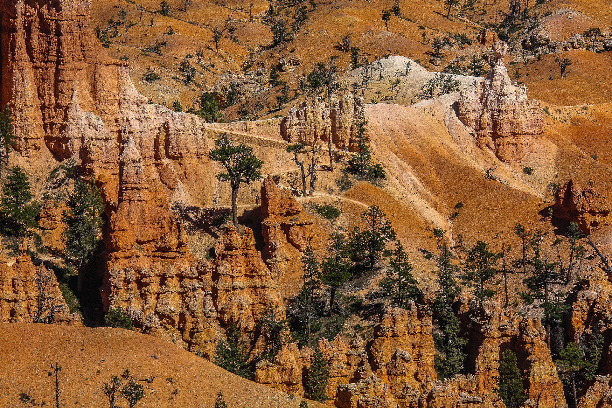 Sigma 150-500mm F5-6.3 DG OS HSM sample photo. Where's waldo? photography