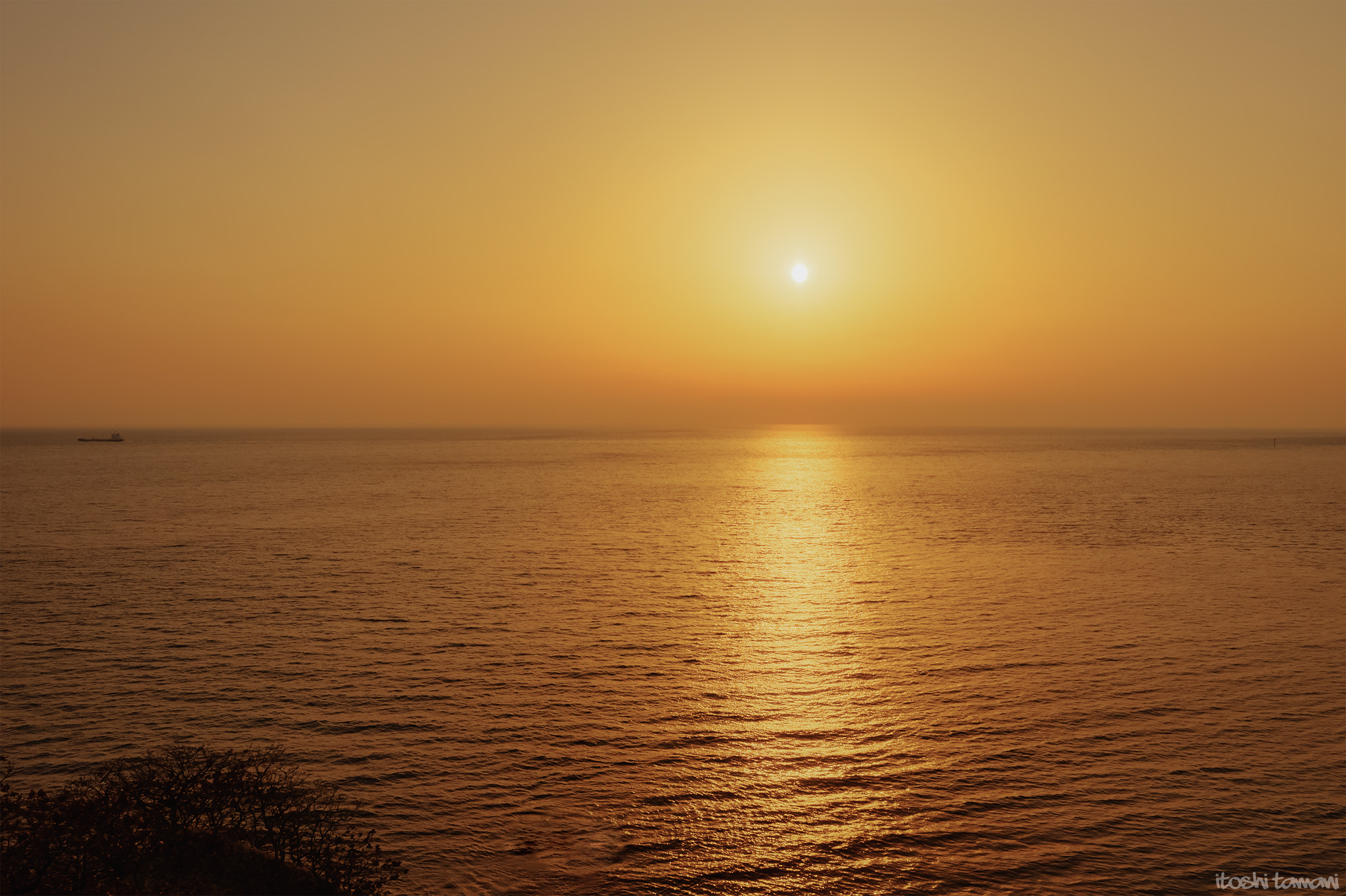 Olympus OM-D E-M1 + OLYMPUS 14-54mm Lens sample photo. Muroran sunset photography