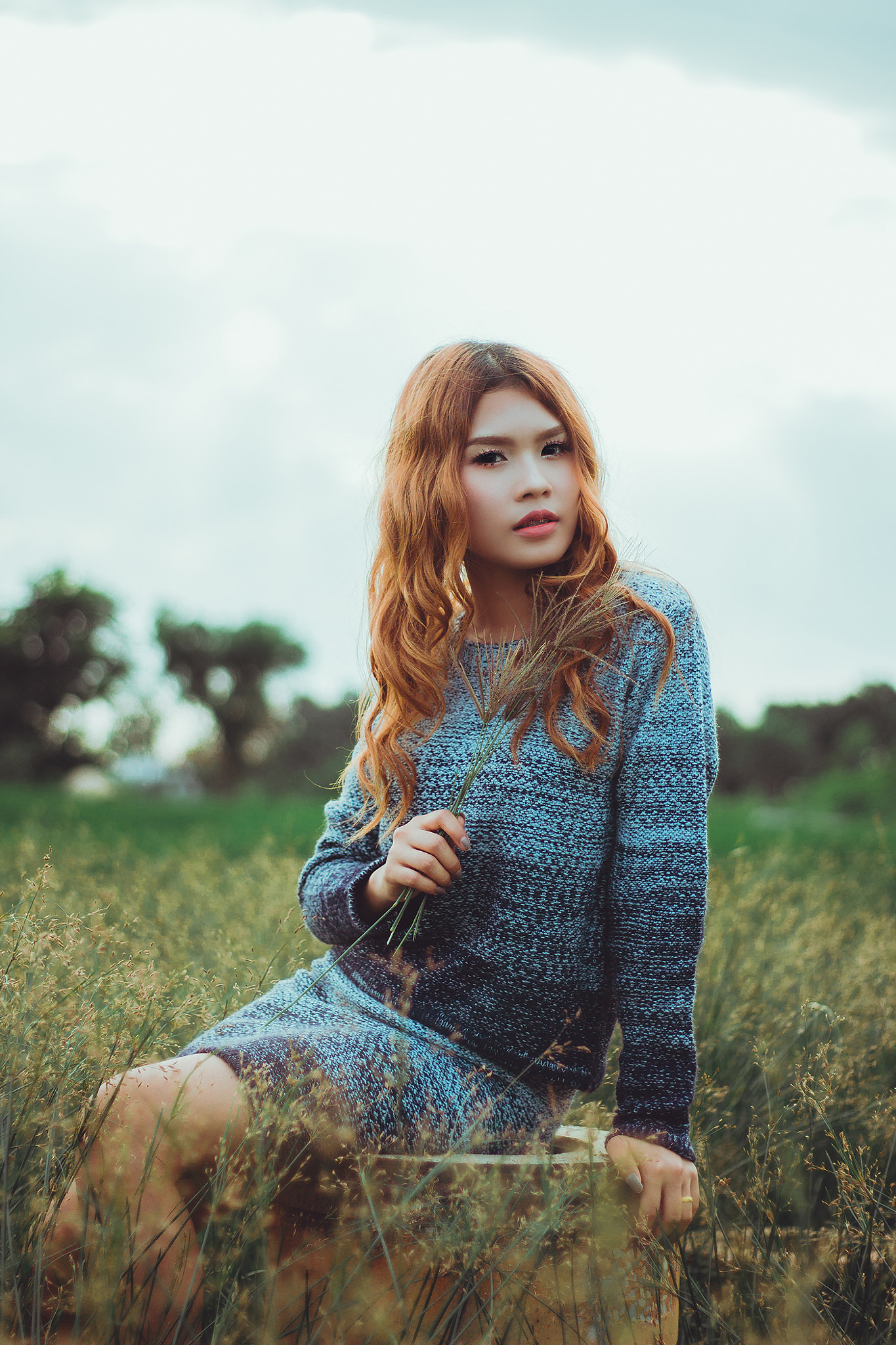 Canon EOS 600D (Rebel EOS T3i / EOS Kiss X5) sample photo. Meadow photography