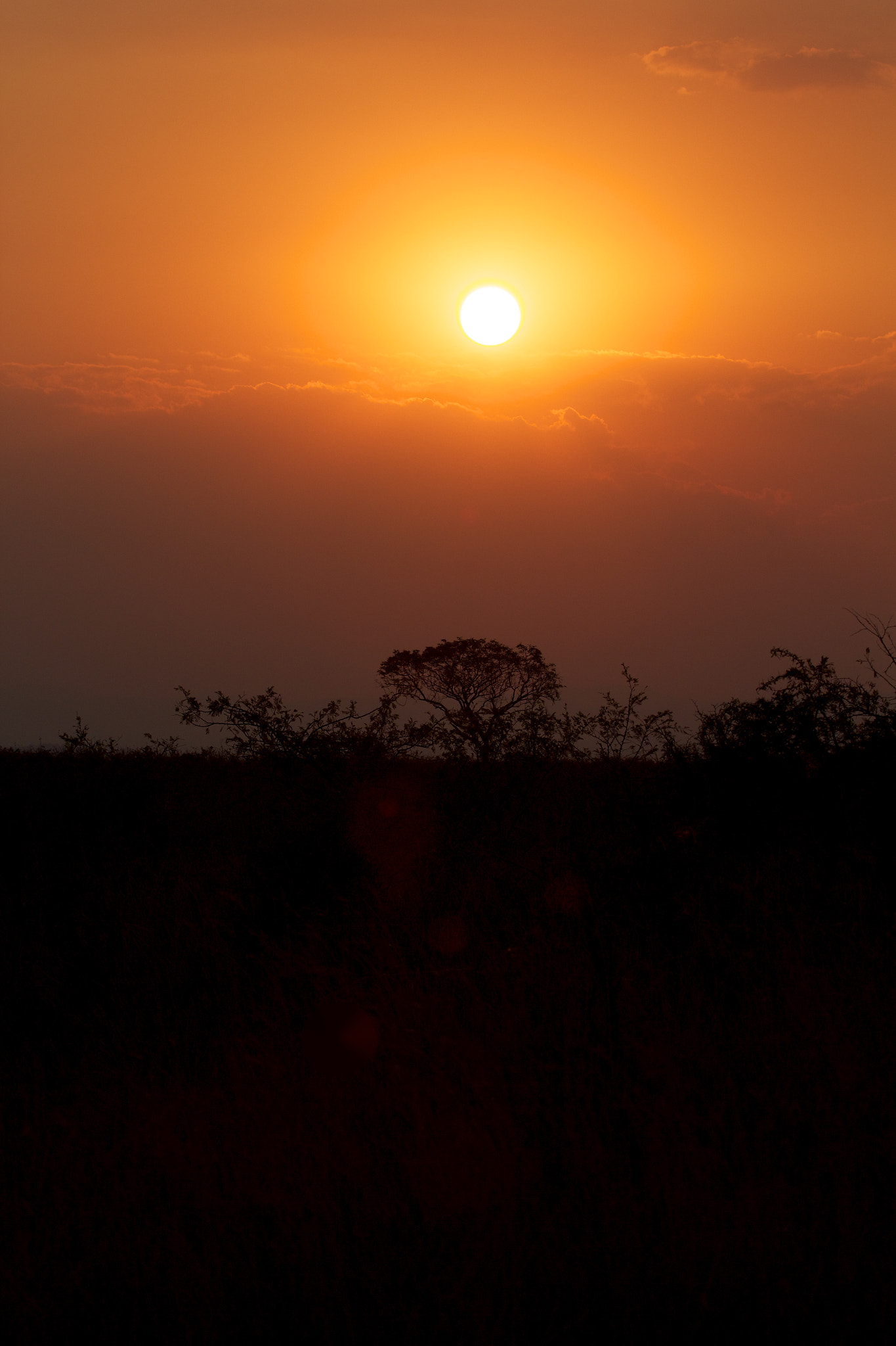 Canon EF 100-400mm F4.5-5.6L IS USM sample photo. African sunset photography