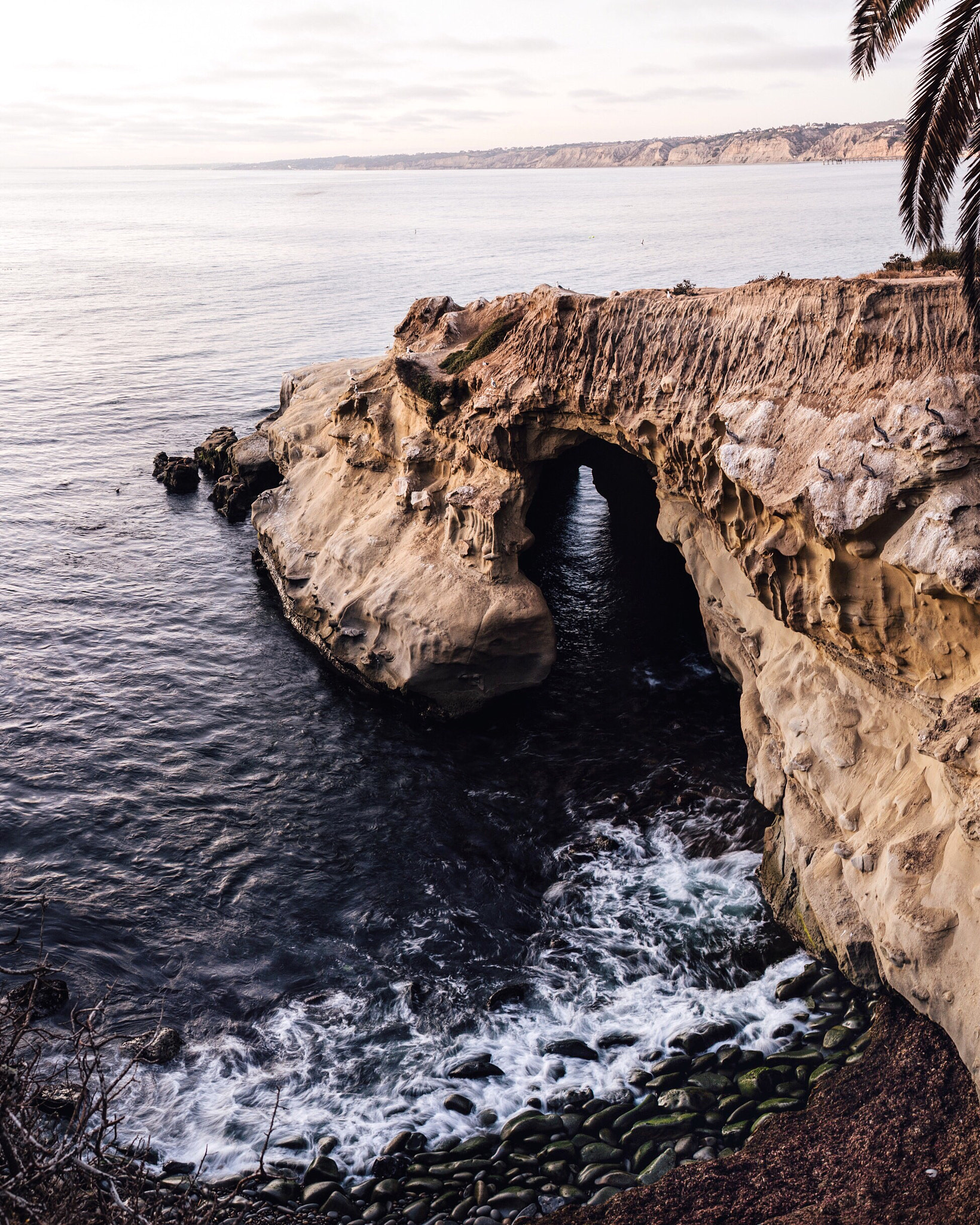 Nikon D4 + Sigma 35mm F1.4 DG HSM Art sample photo. Sunset at la jolla. california. photography