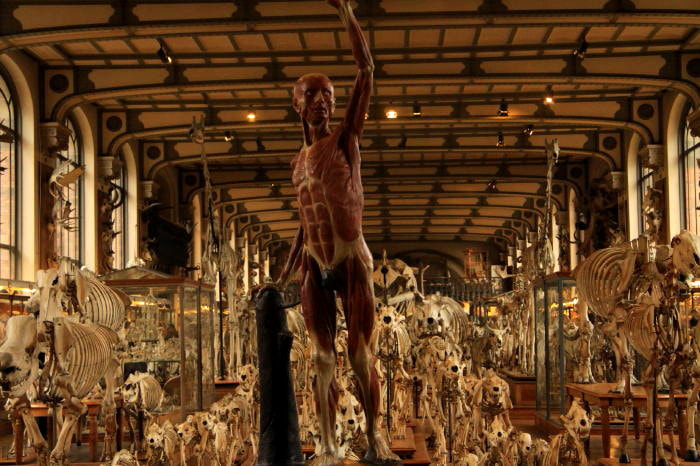 Canon EF-S 17-85mm F4-5.6 IS USM sample photo. El hombre humano, museo de paris photography