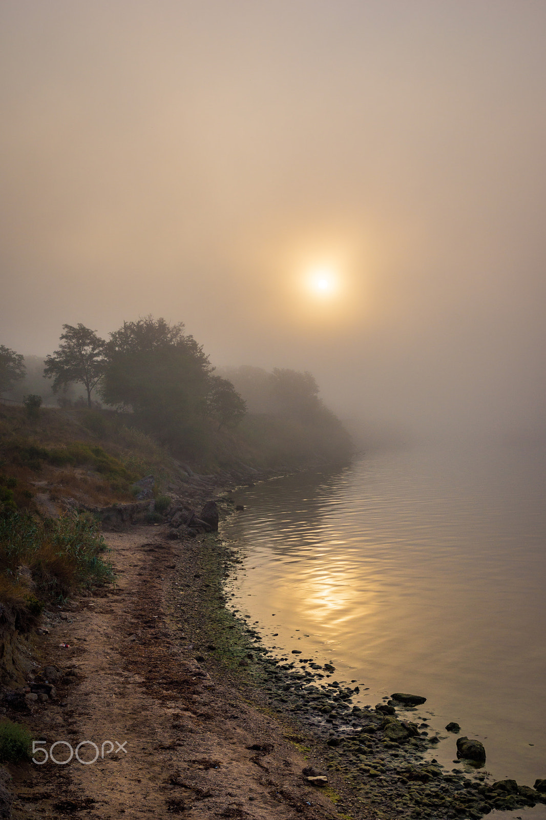 Sony SLT-A77 sample photo. Fog 2 photography