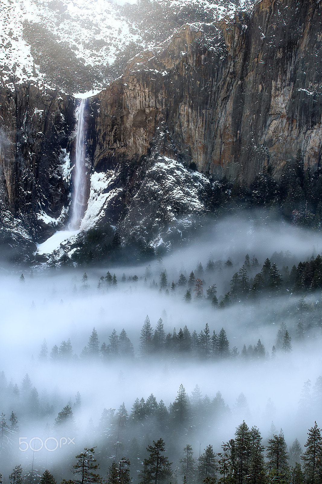 Sigma 150-600mm F5-6.3 DG OS HSM | C sample photo. Valley of fog photography