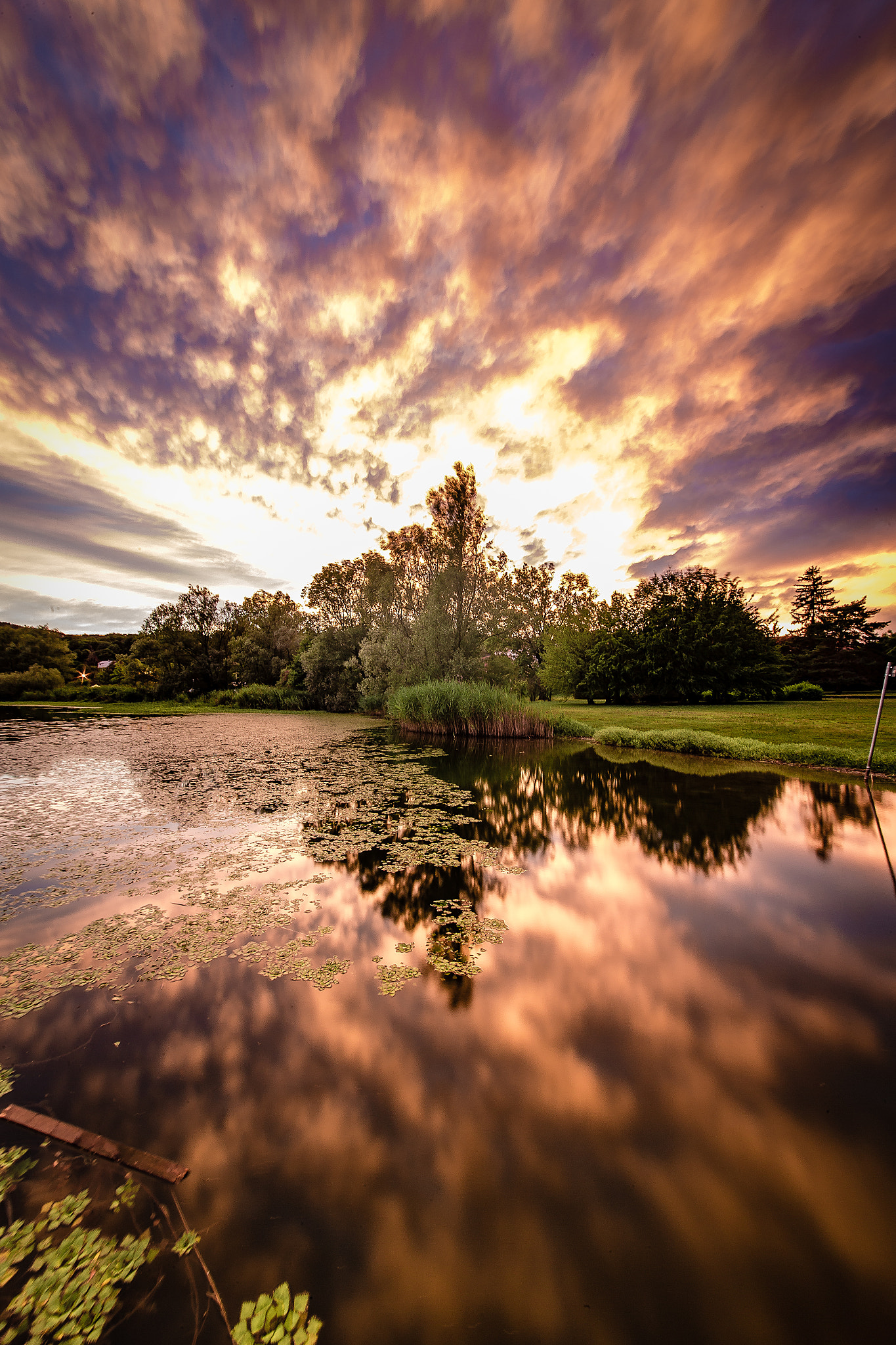 Canon EOS-1D X + Sigma 12-24mm F4.5-5.6 II DG HSM sample photo. "colors" al parco berrini ieri sera  photography