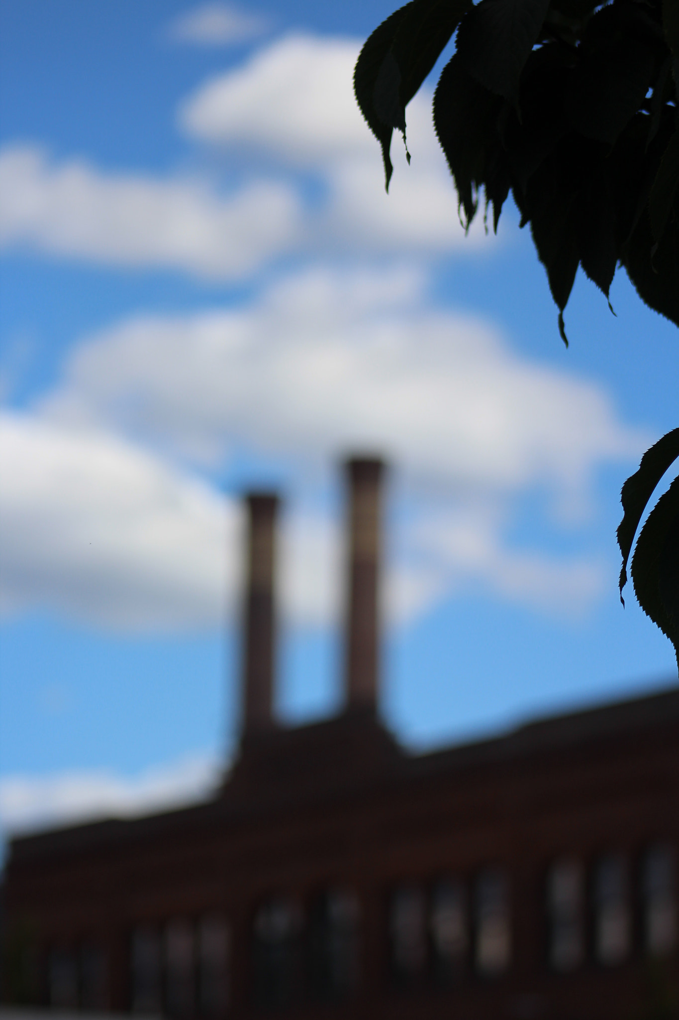 Canon EF75-300mm f/4-5.6 sample photo. Dim the power photography