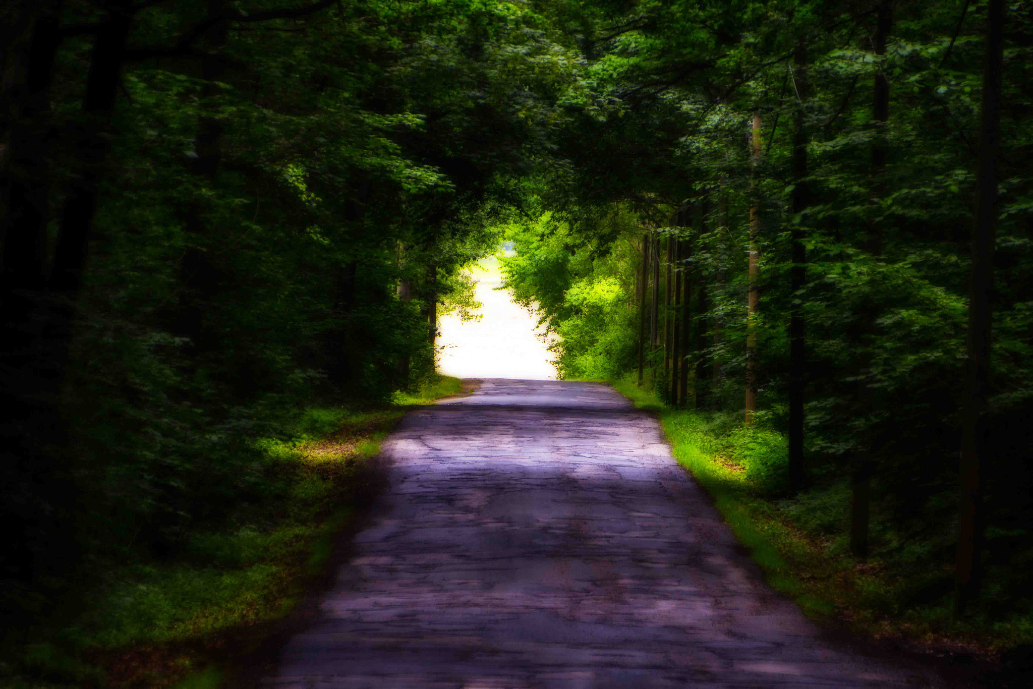 Sigma 18-250mm F3.5-6.3 DC OS HSM sample photo. Where do you go? photography