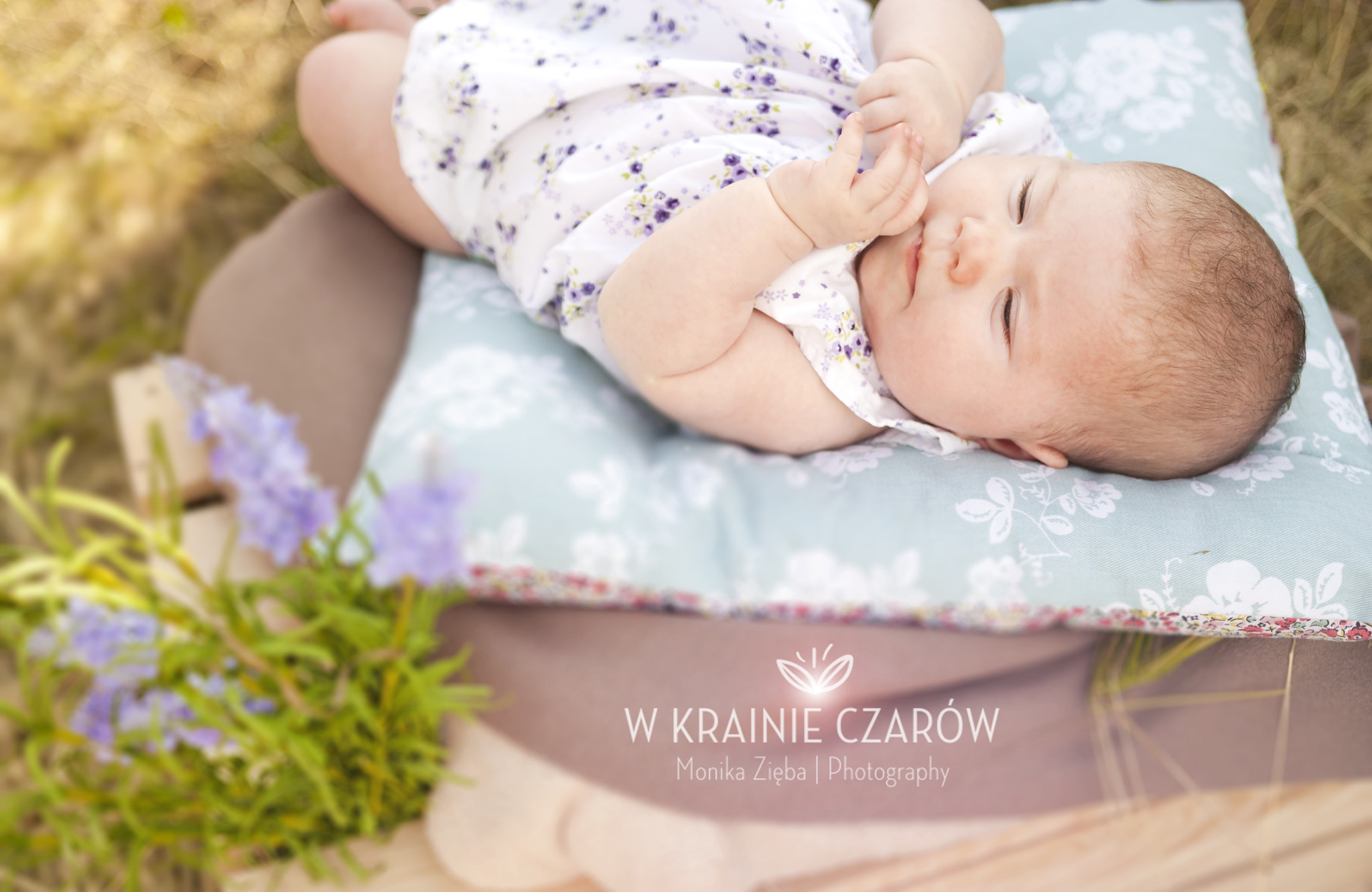 Pentax K200D + Sigma 18-35mm F1.8 DC HSM Art sample photo. Wonderland photography