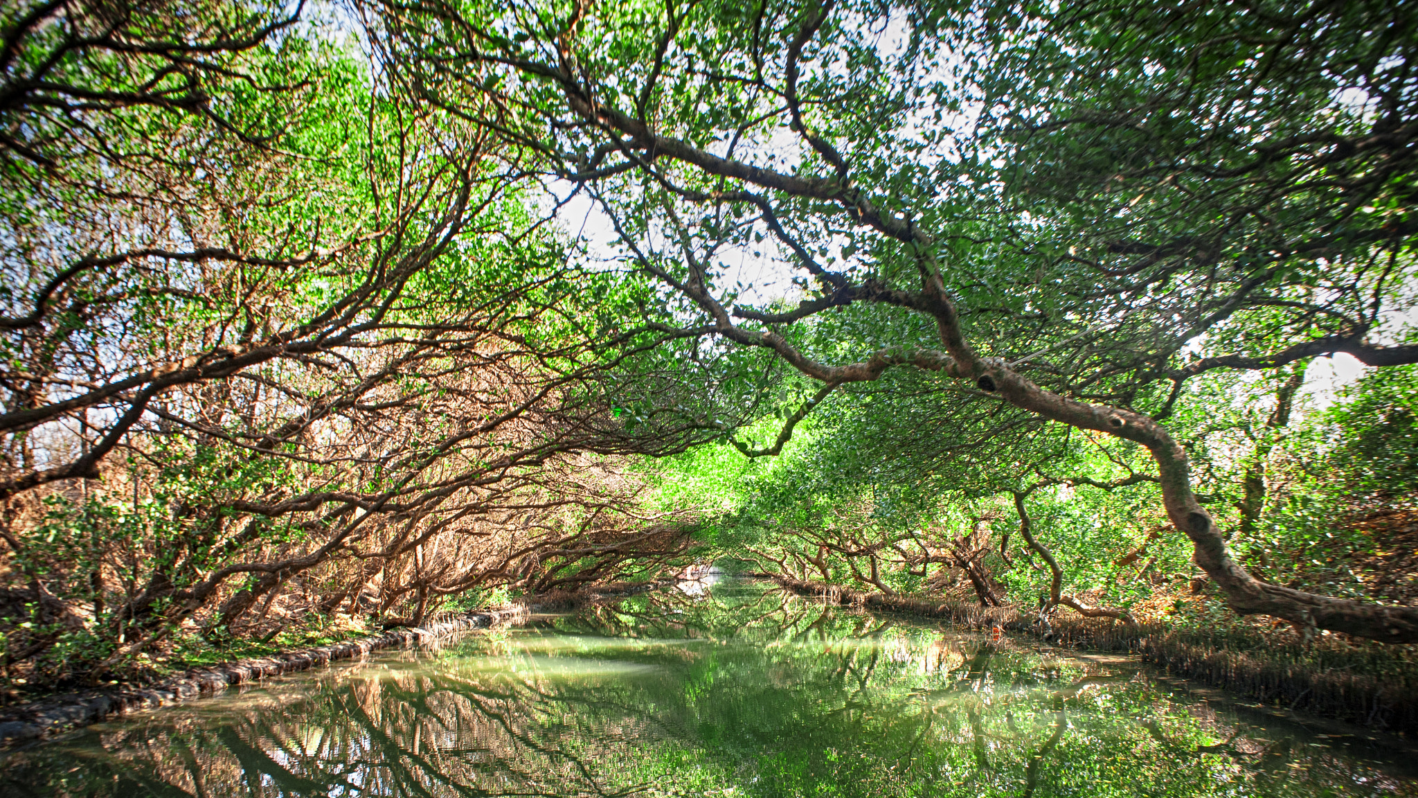 Nikon D700 + Nikon AF Nikkor 20mm F2.8D sample photo. 台南.四草 photography