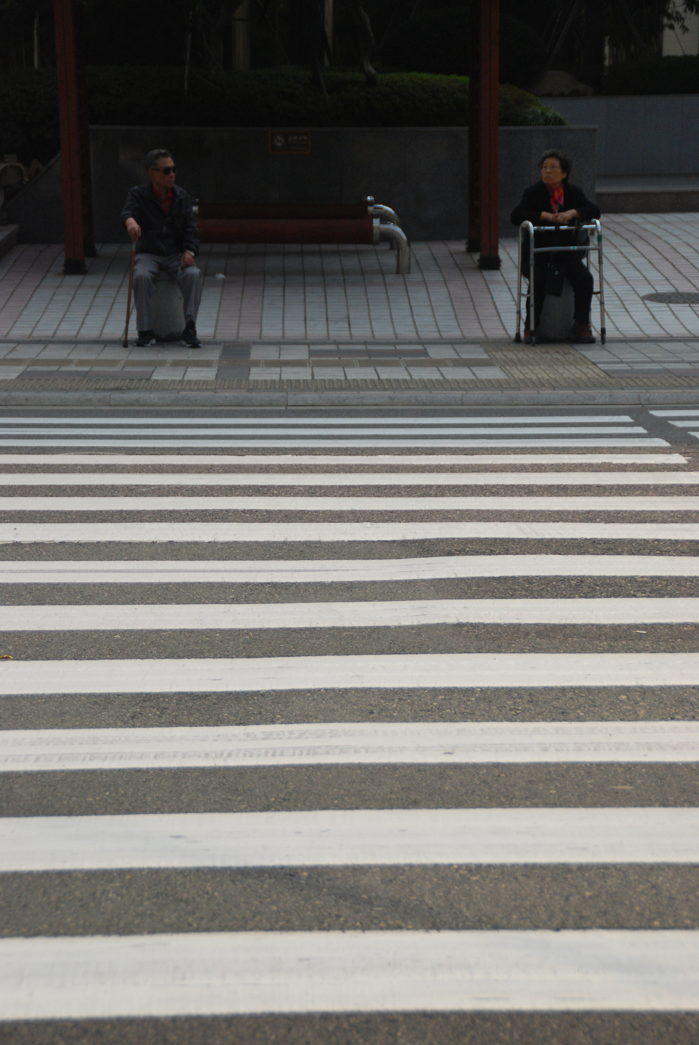 Nikon D80 sample photo. Accompany(동행, 同行) photography