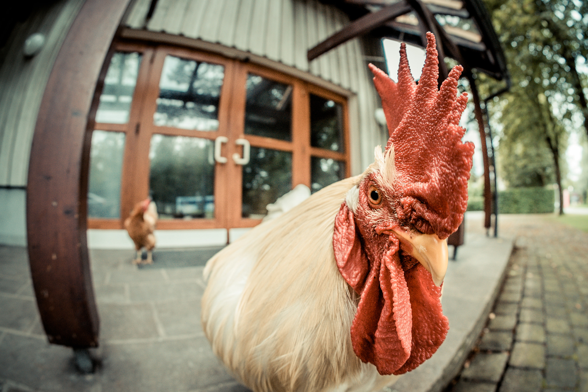 Sigma 10mm F2.8 EX DC HSM Diagonal Fisheye sample photo. Ich chef du nix photography