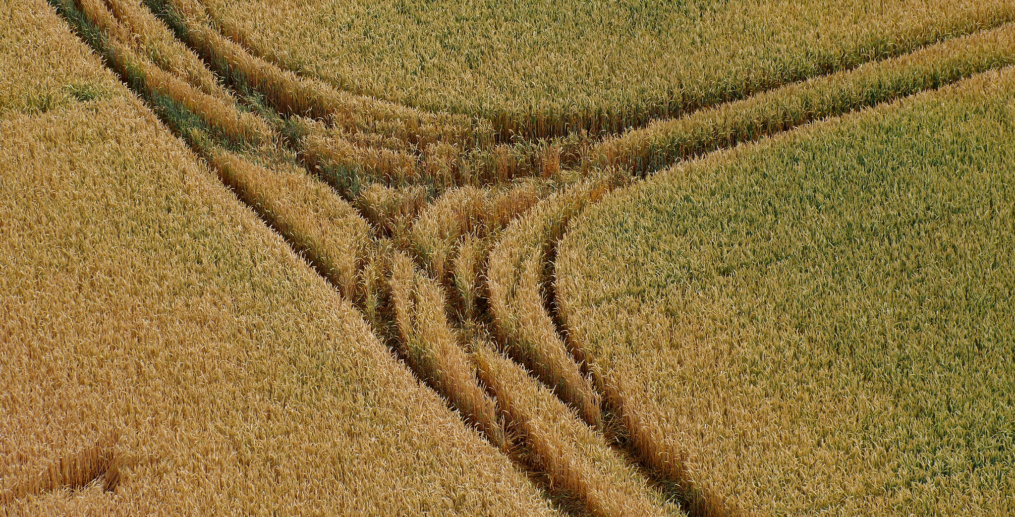 smc PENTAX-F 80-200mm F4.7-5.6 sample photo. Highway in field photography