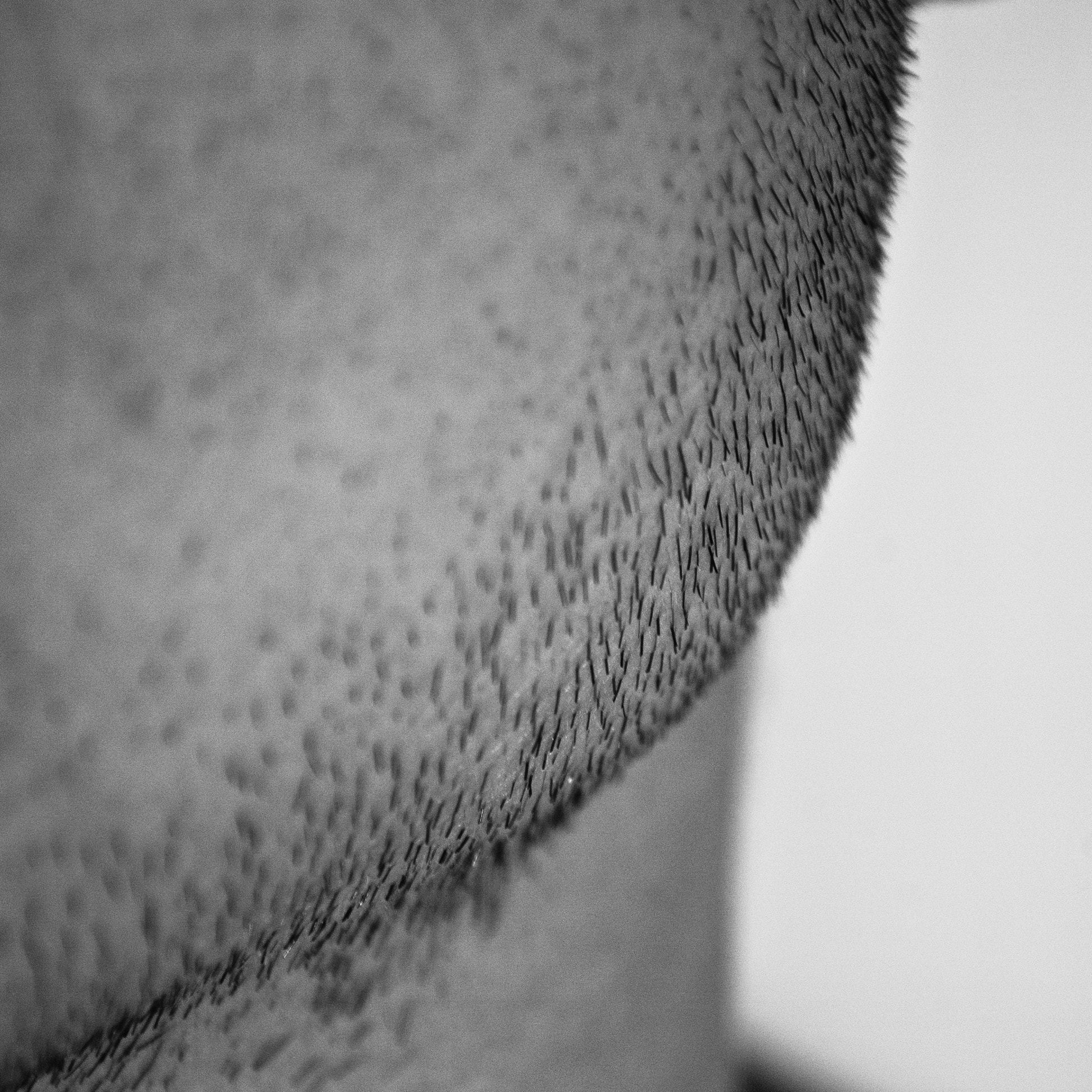 Nikon D70 sample photo. No.737 photography