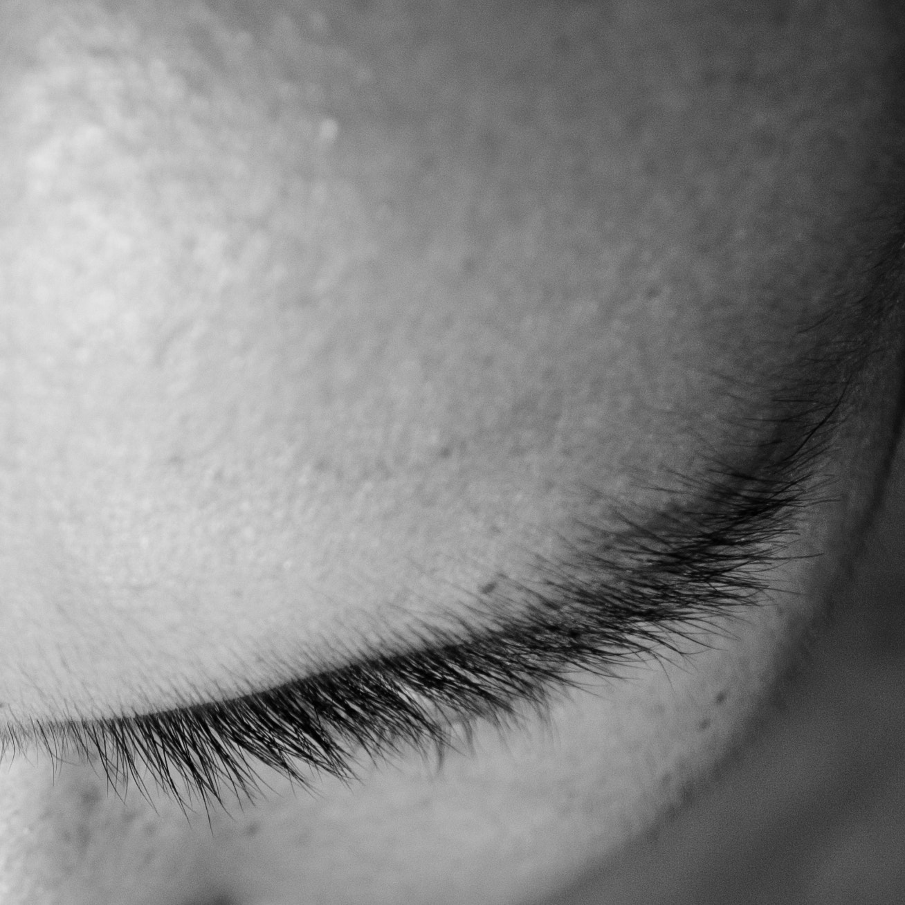 Nikon D70 sample photo. No.737 photography