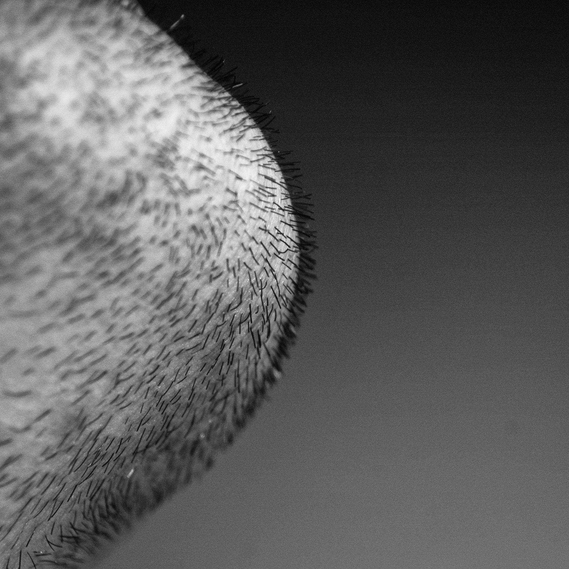 Nikon D70 sample photo. No.737 photography