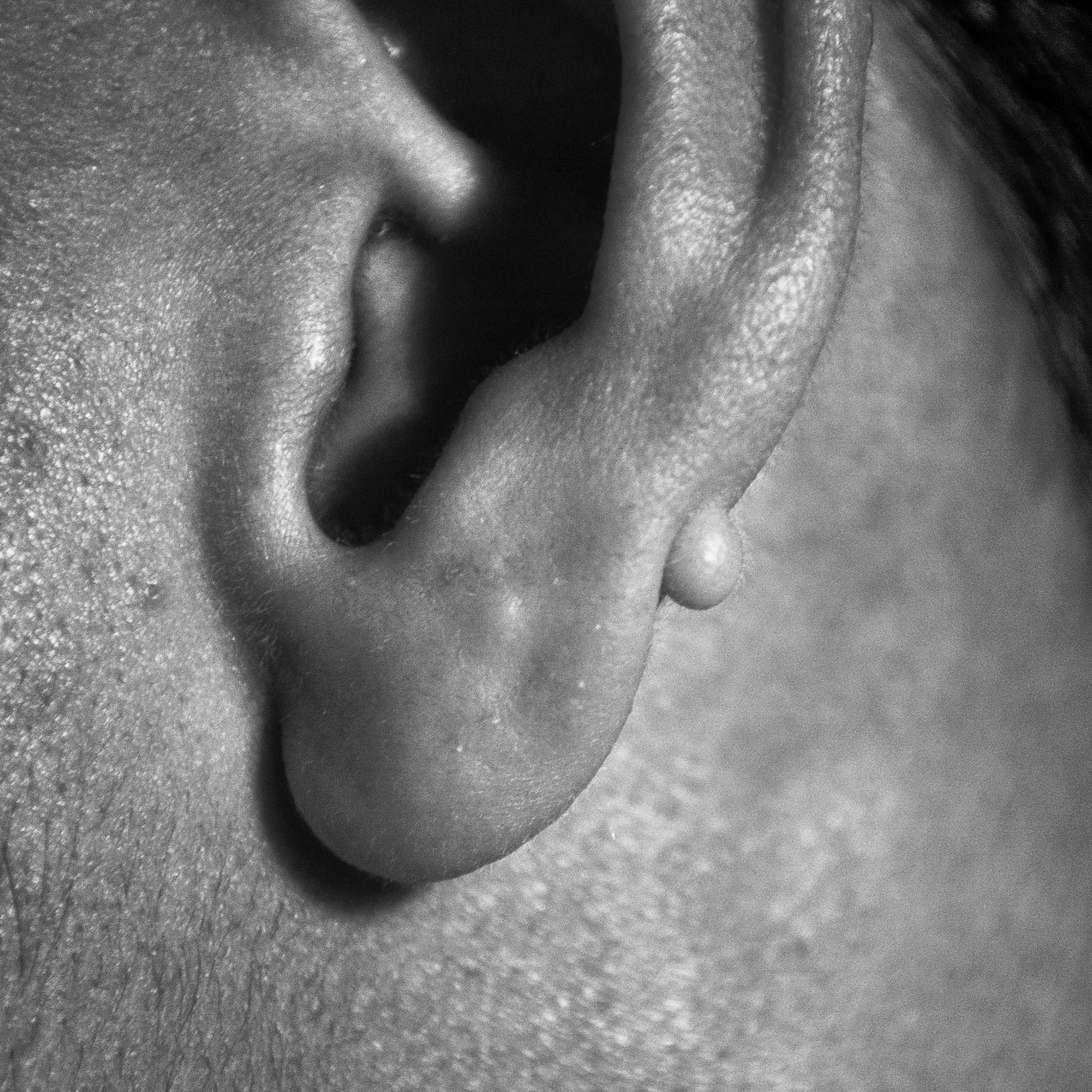 Nikon D70 sample photo. No.737 photography