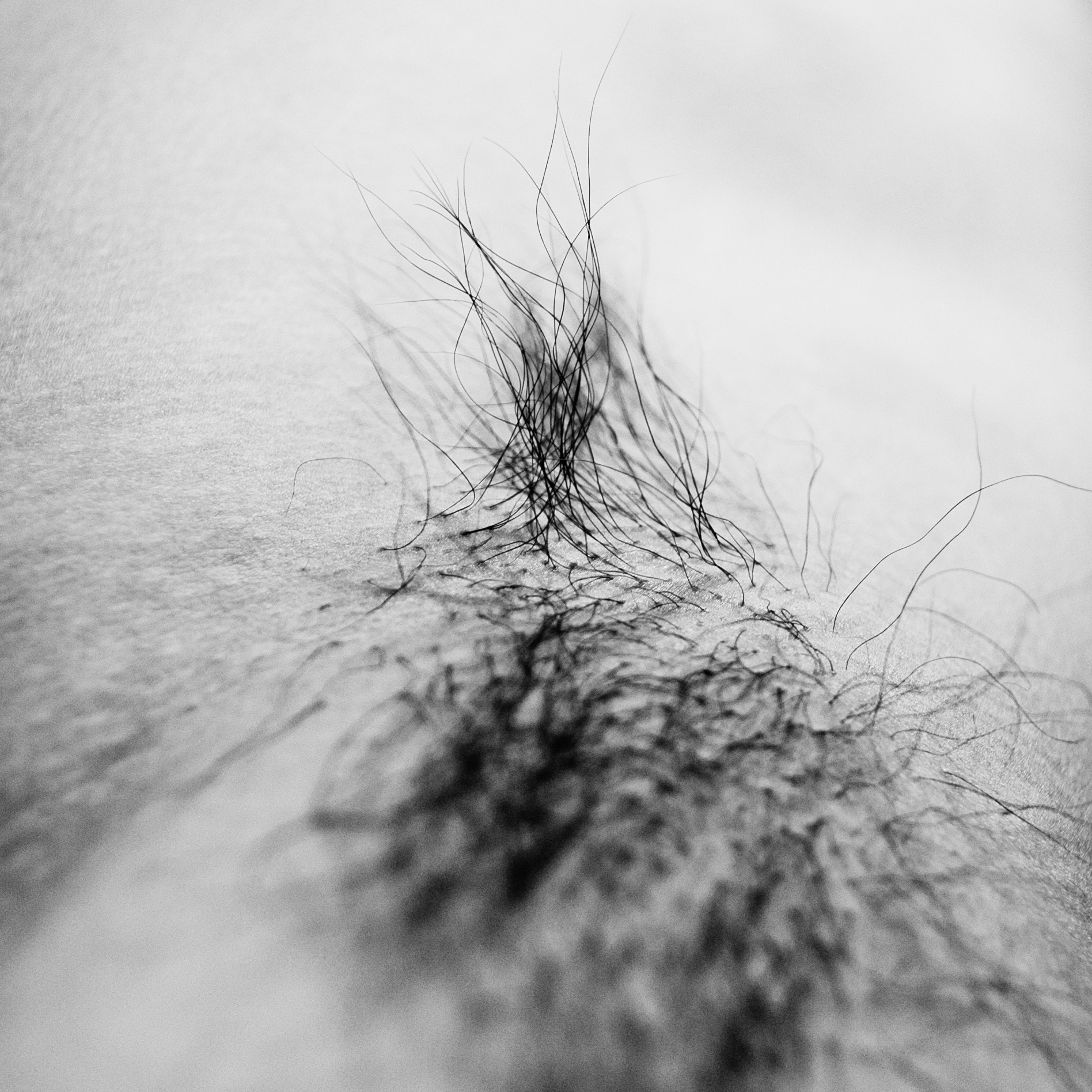 Nikon D70 sample photo. No.737 photography