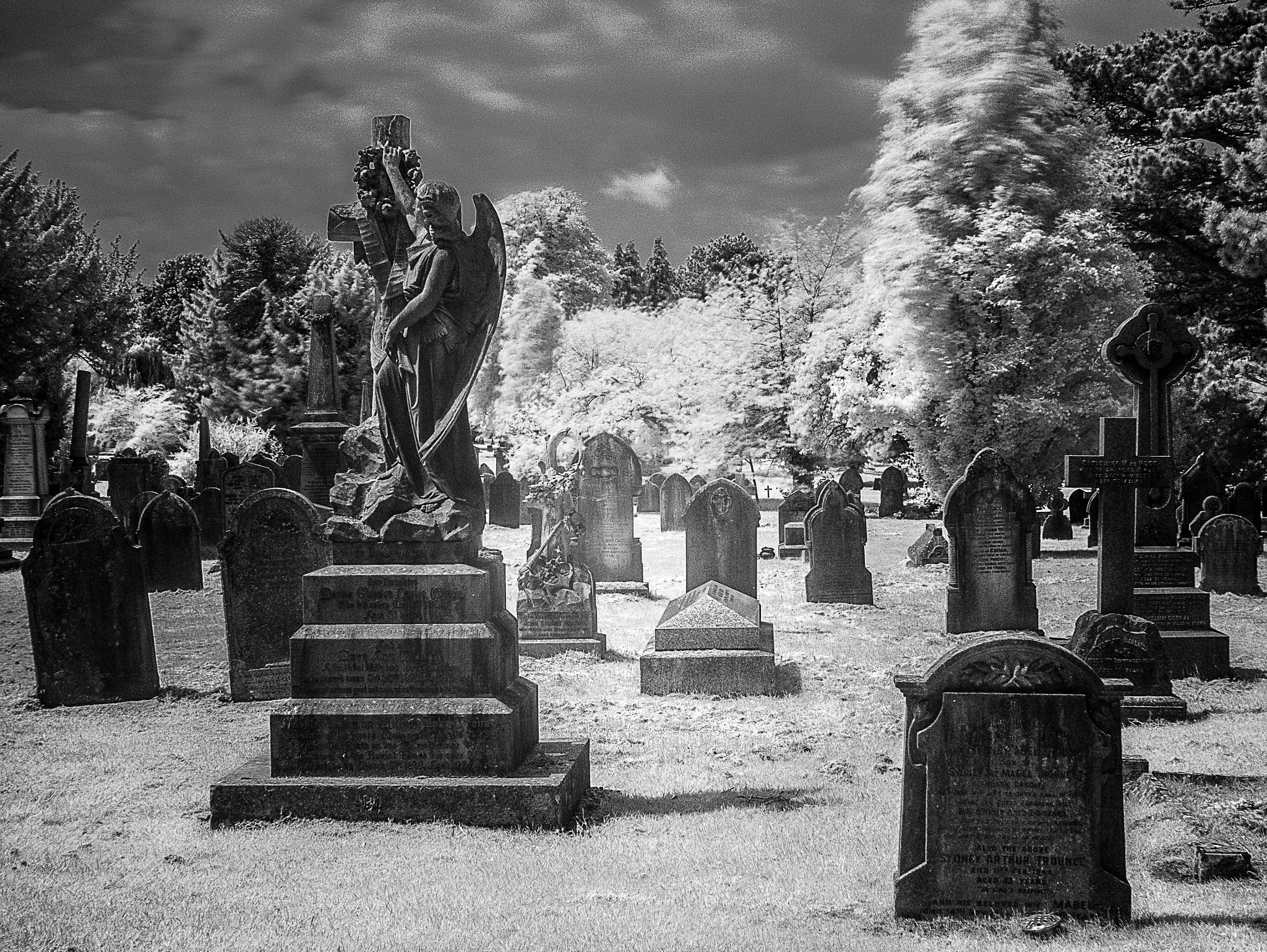 Panasonic Lumix DMC-G3 + Panasonic Leica DG Summilux 25mm F1.4 II ASPH sample photo. Cathays cemetery [infrared] photography