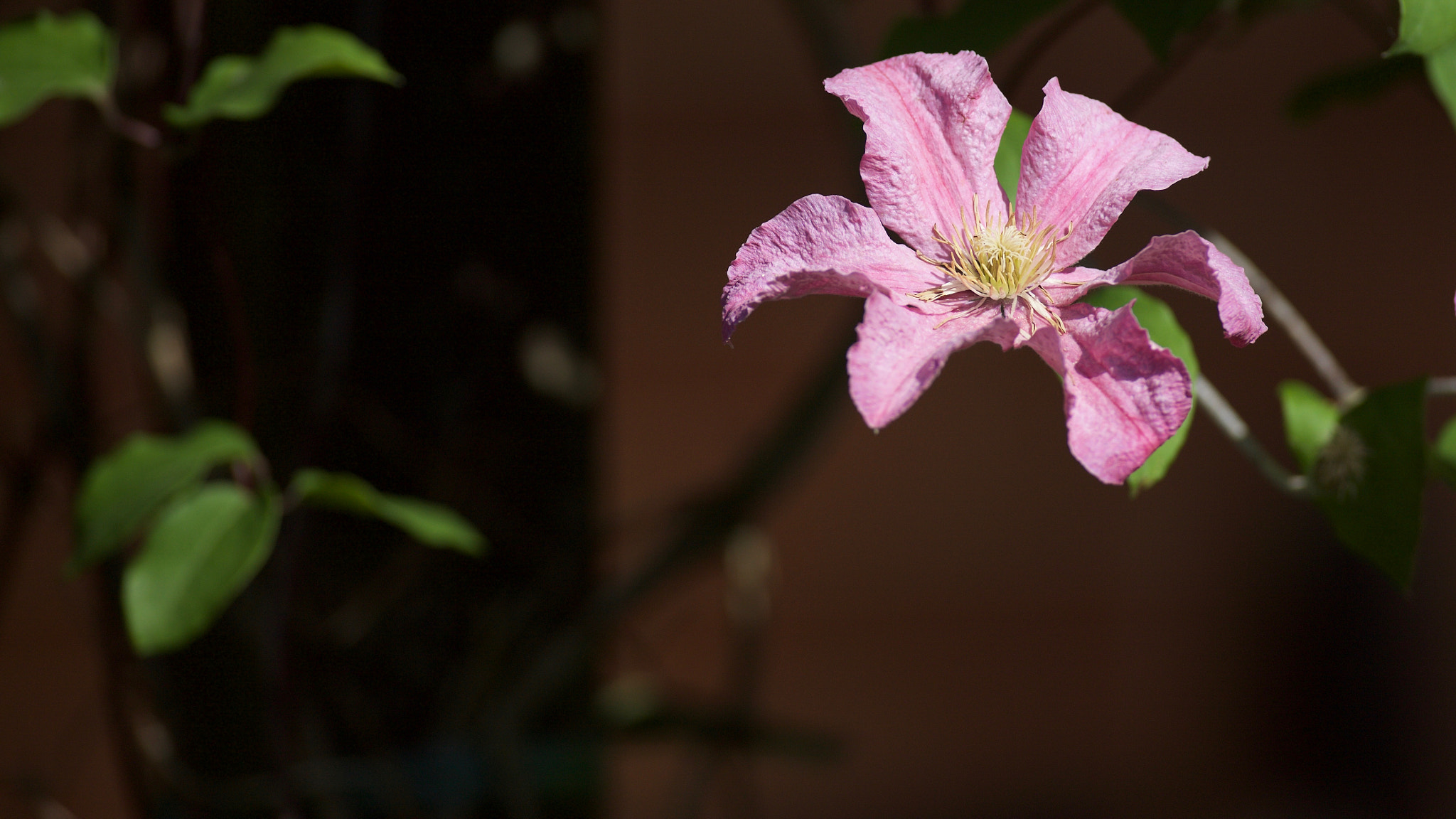 Canon EF 400mm f/2.8L sample photo. _z7i6490.jpg photography
