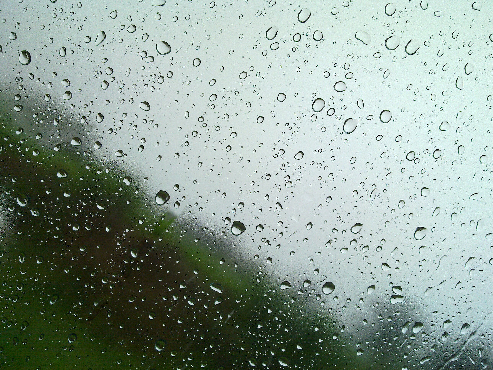 Nokia N900 sample photo. Its raining!! photography